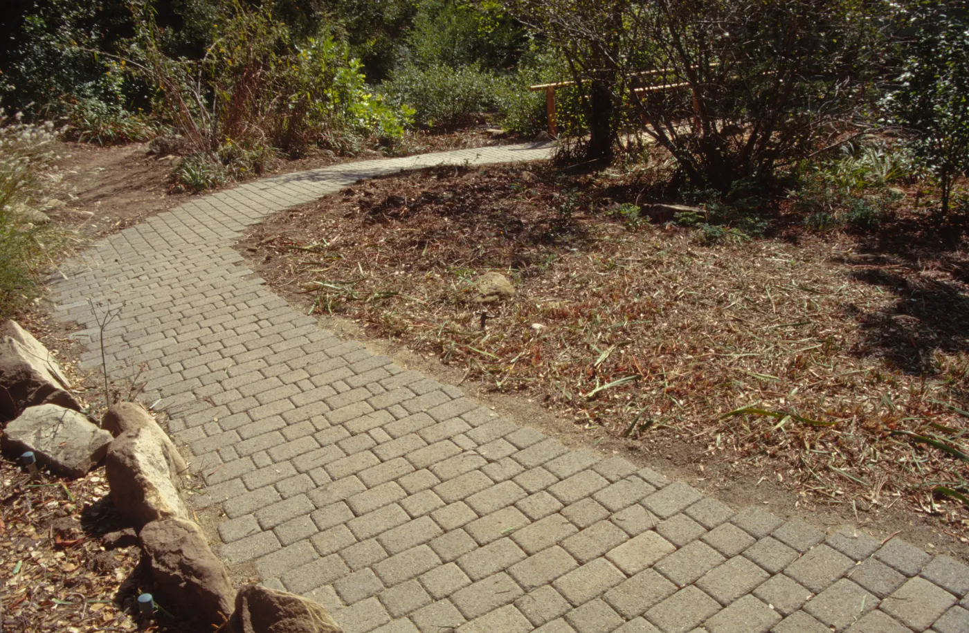 New pavered path in the Arroyo