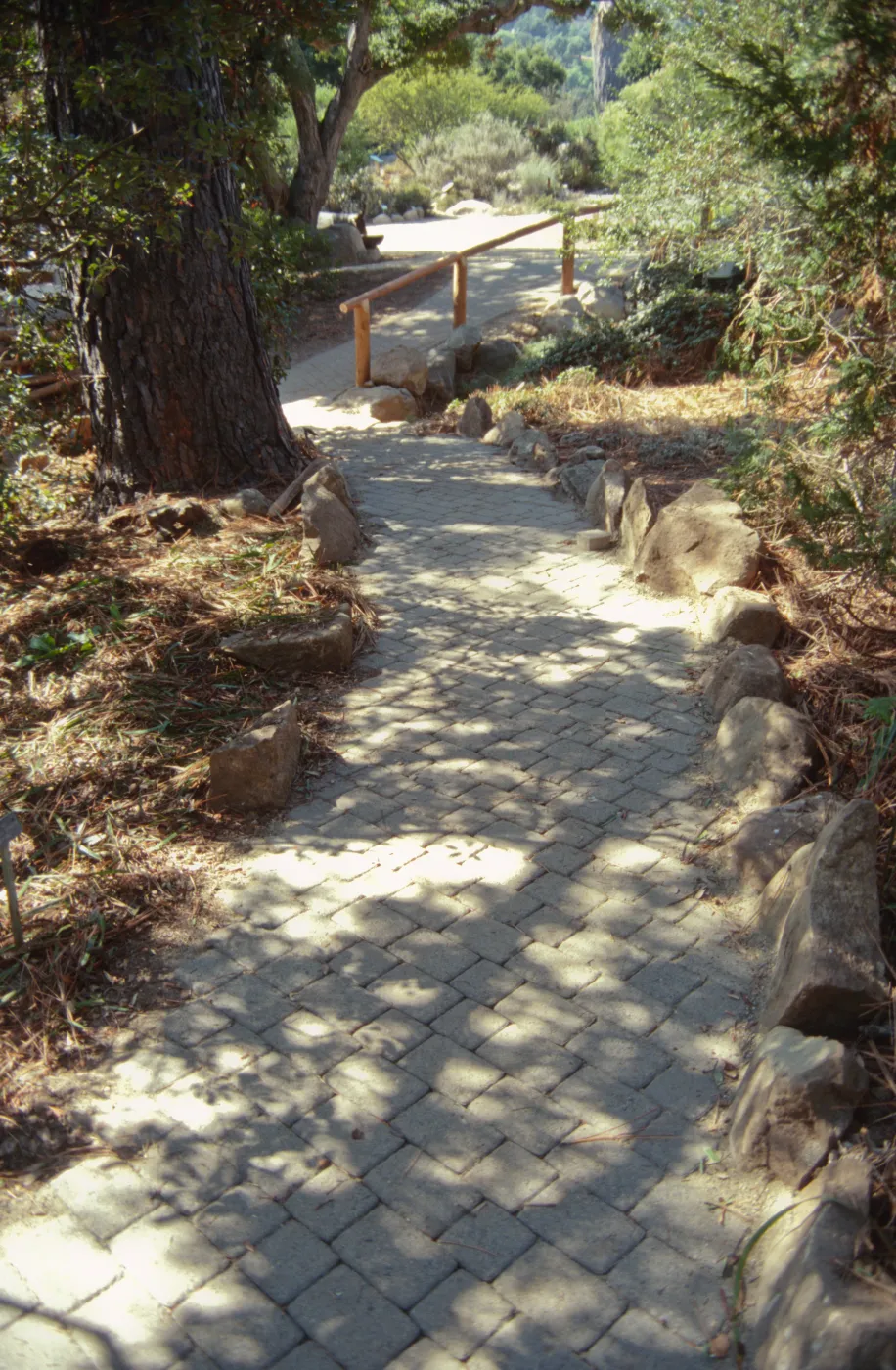 New paver path in the Arroyo