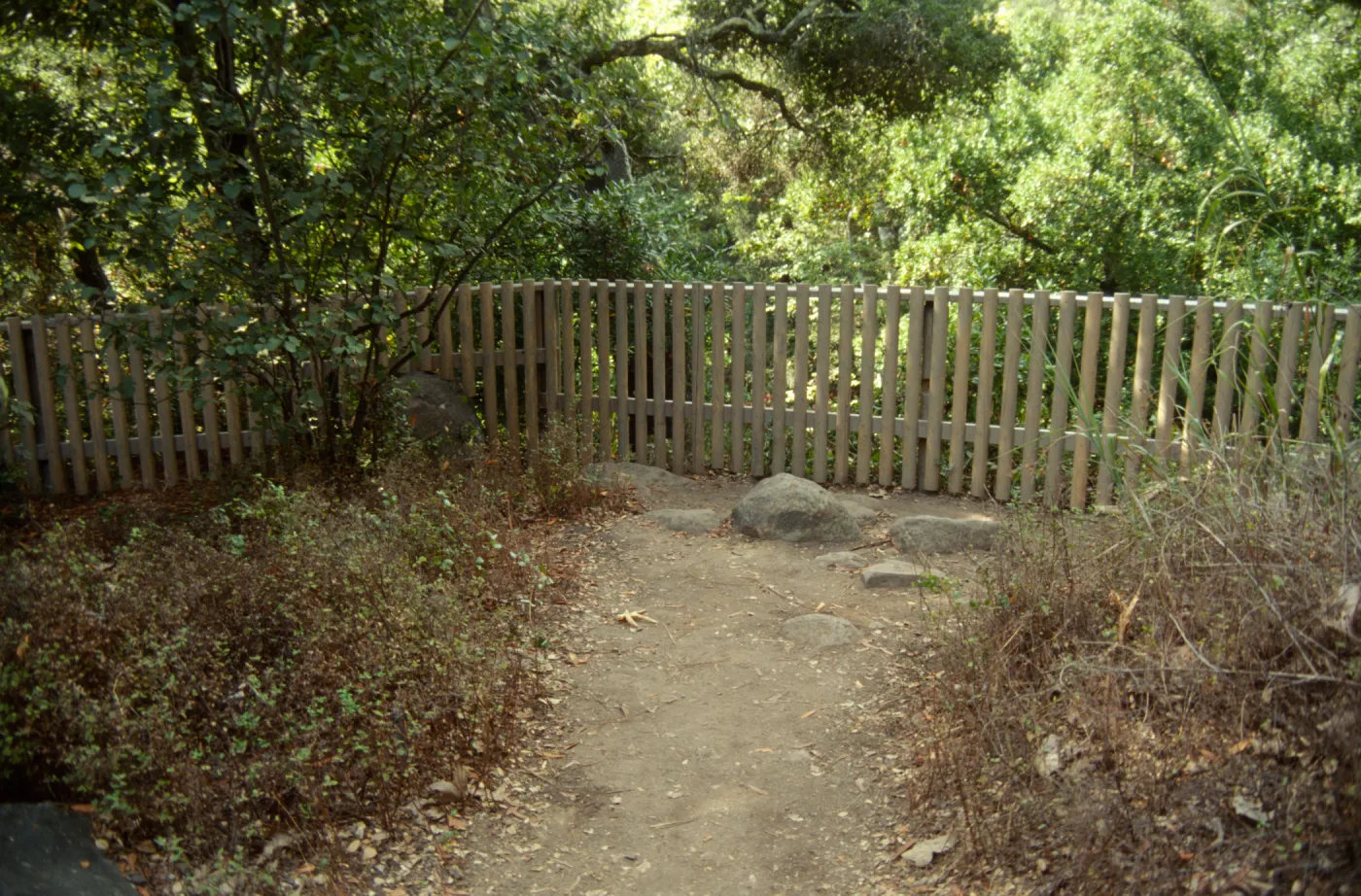 Site for new picnic area, fence at dam overlook