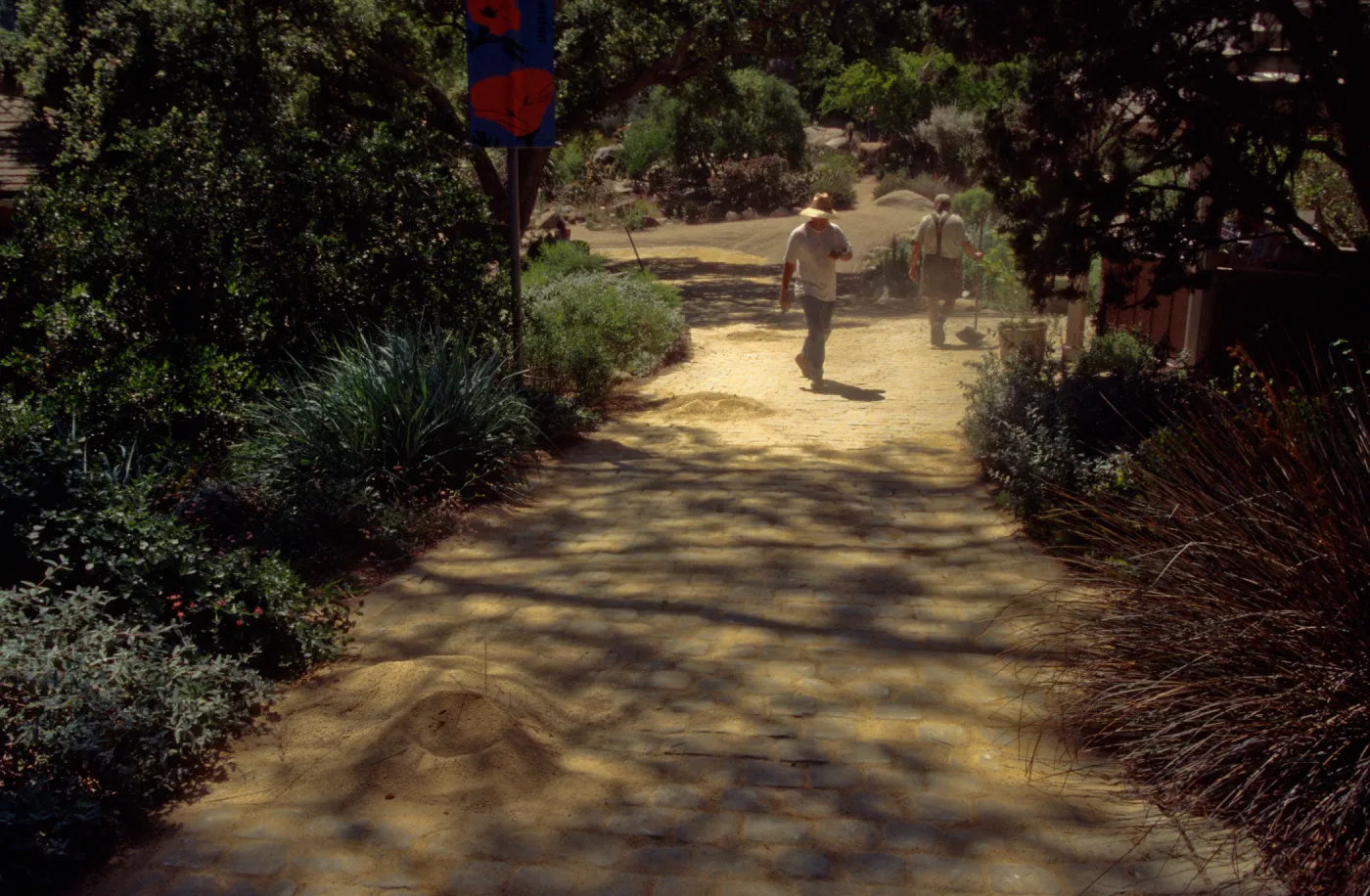 New pavered path at Garden Entrance