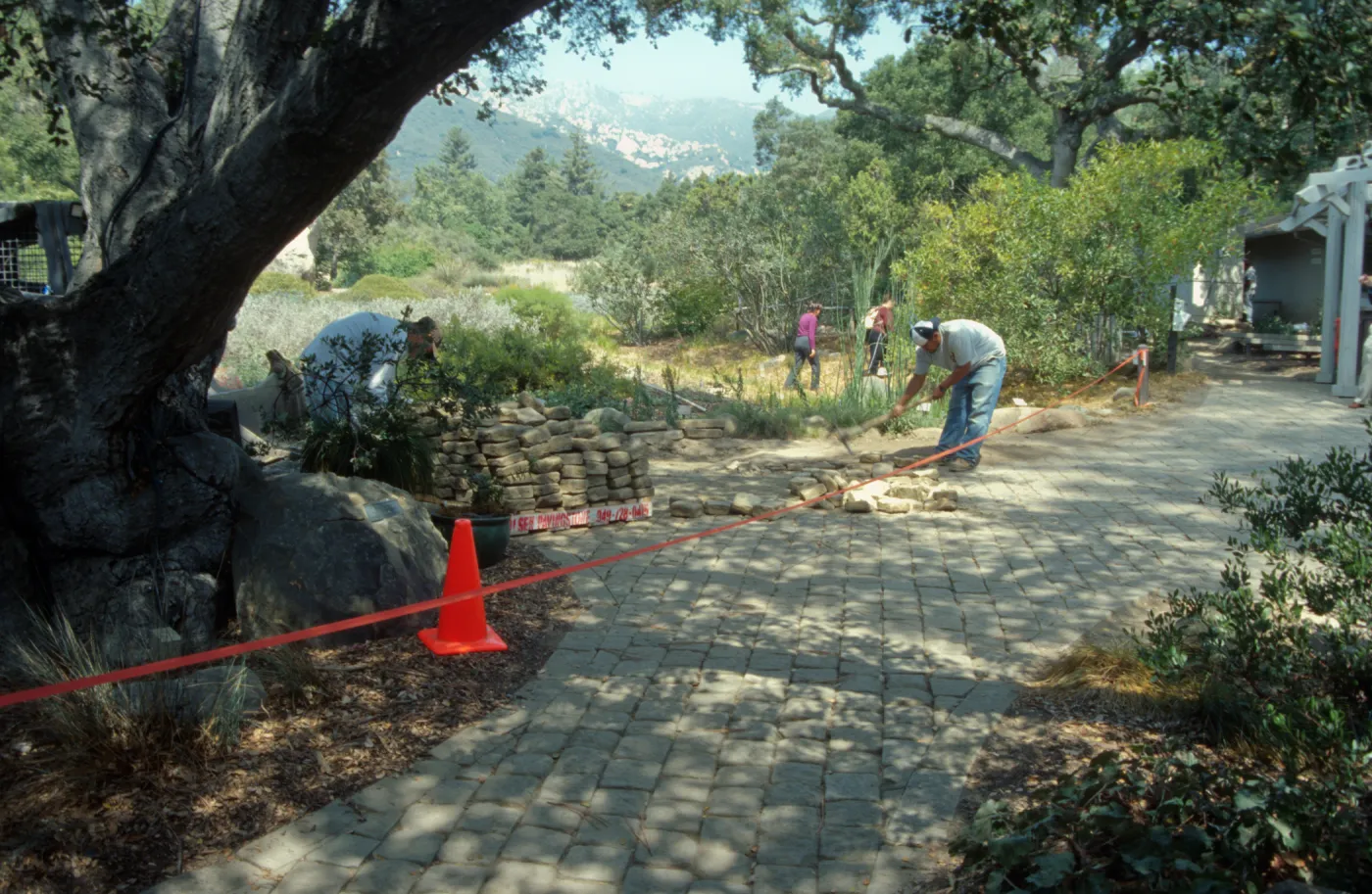New pavered path to the restrooms at Garden Entrance