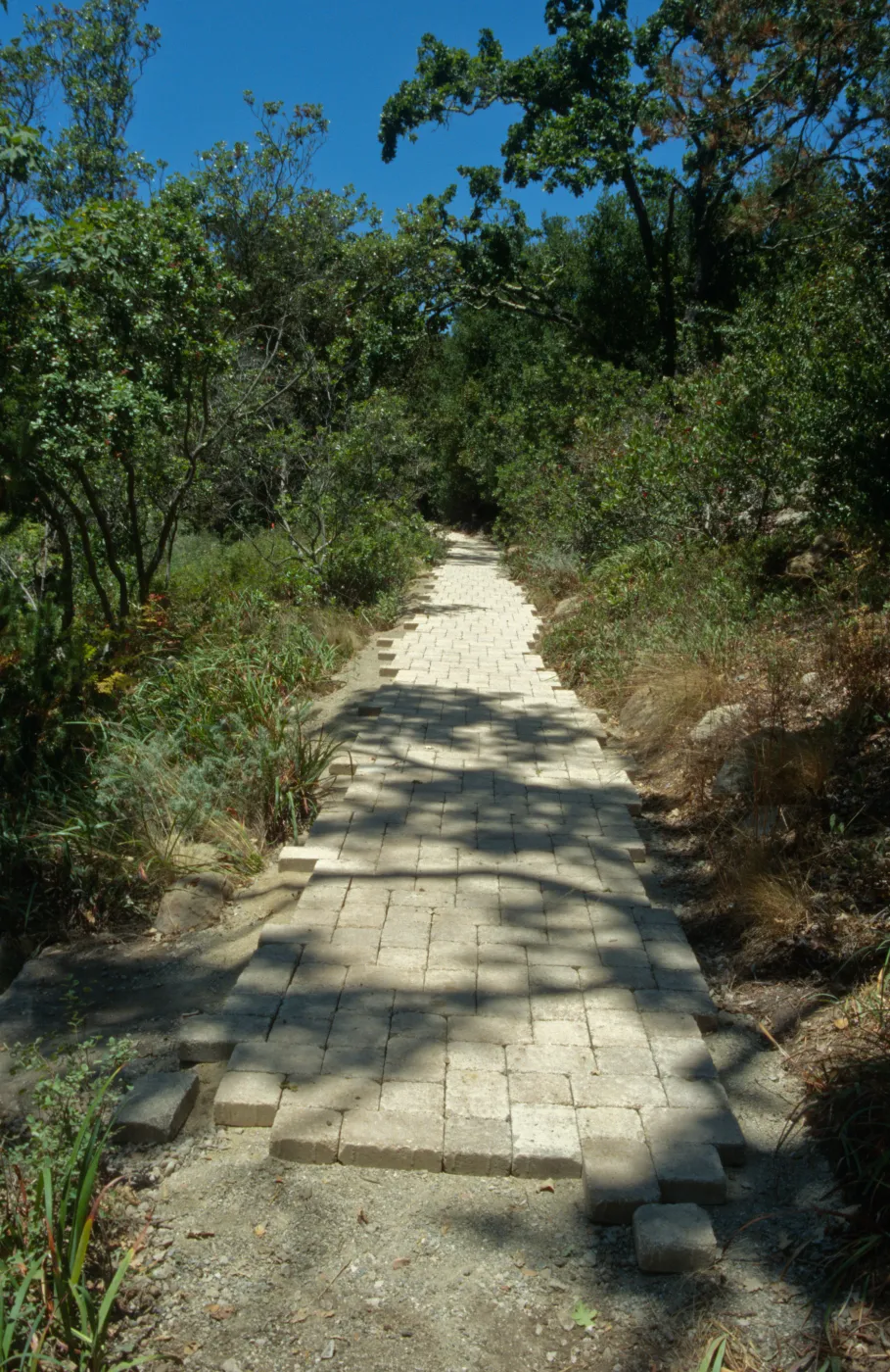 Paving the Arroyo Trail