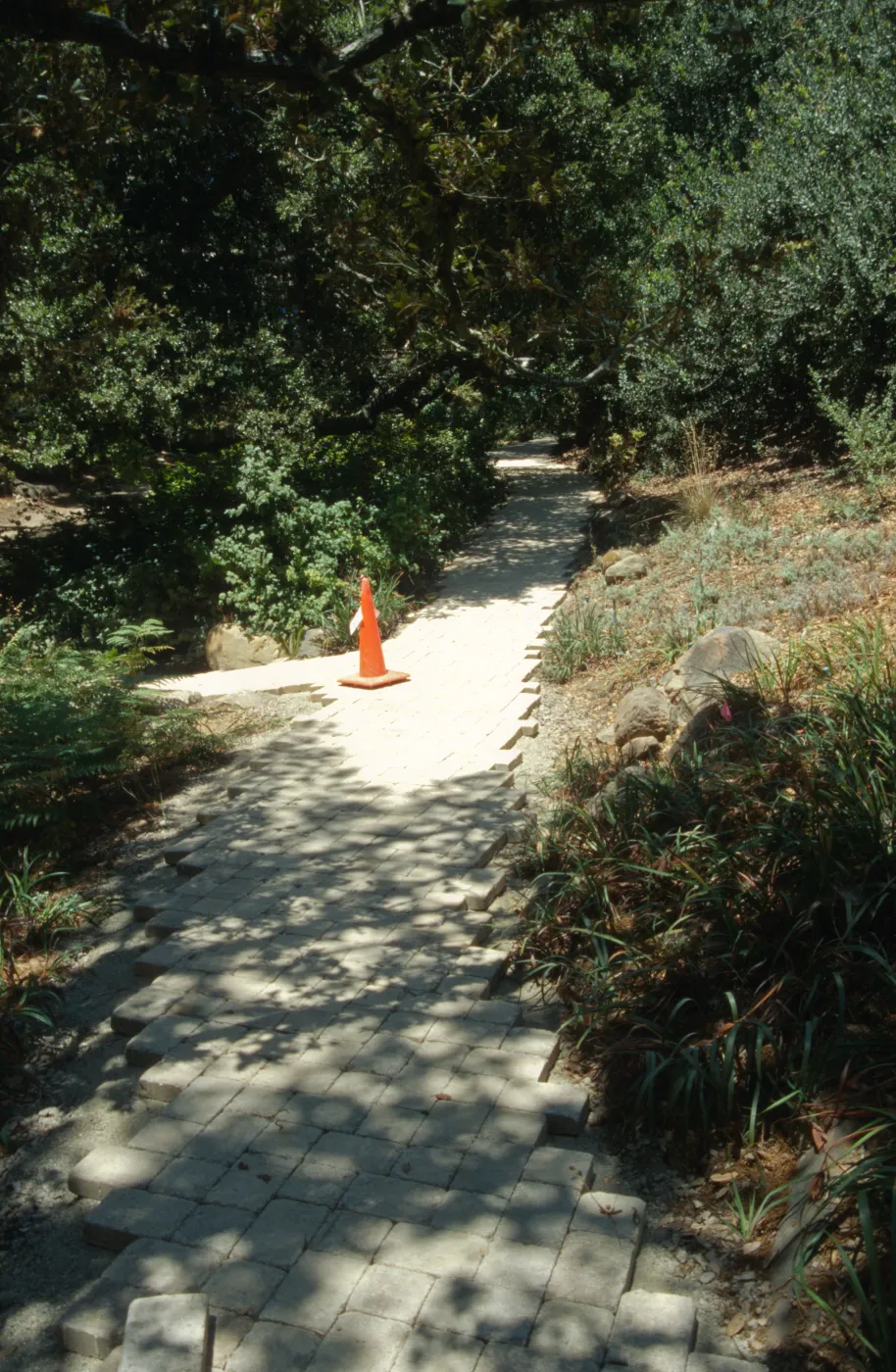Paving the Arroyo Trail
