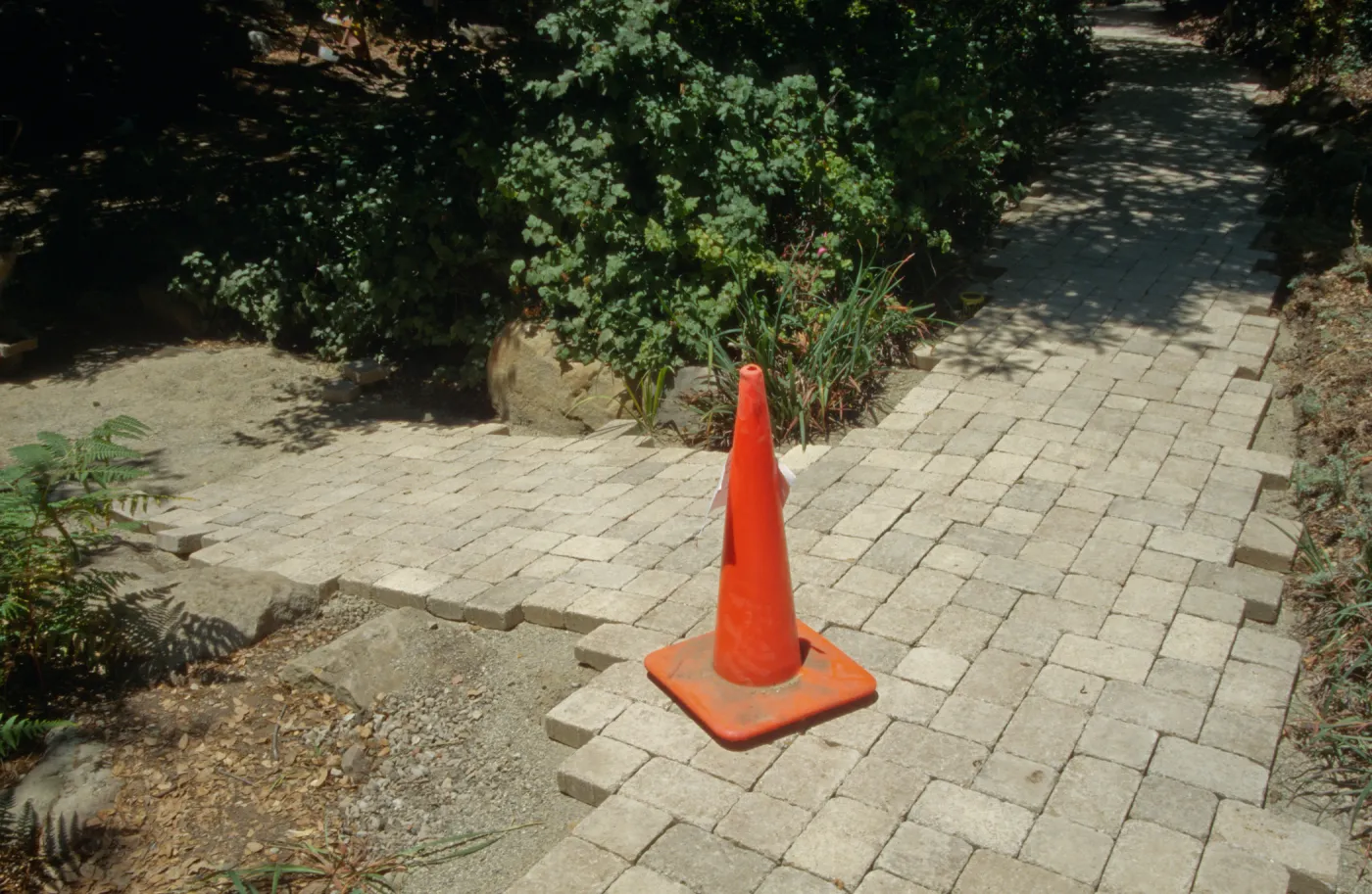 Paving the Arroyo Trail