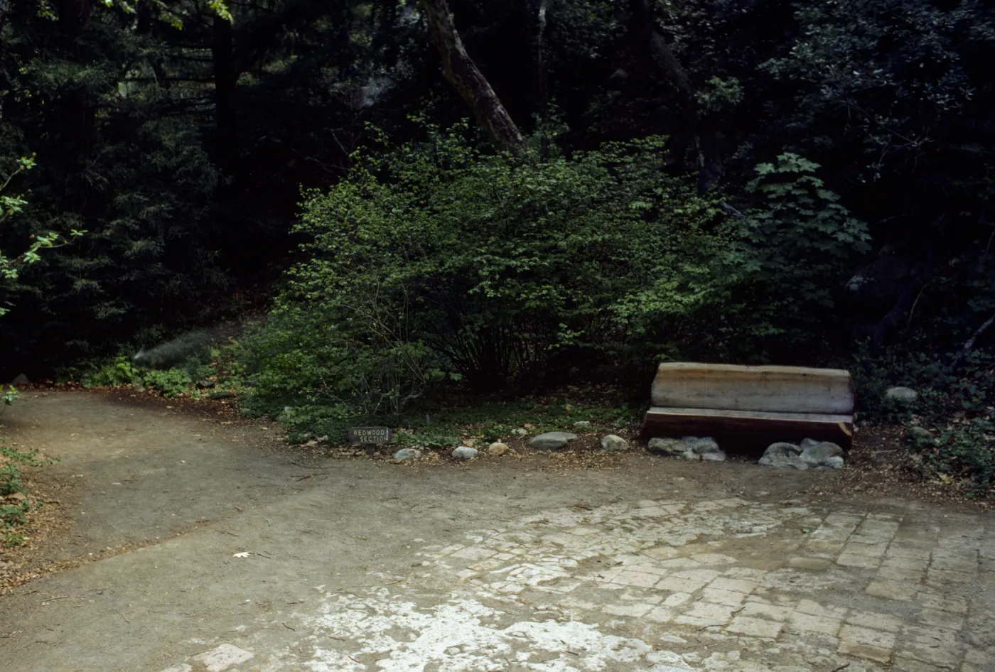 wood bench on east side of Mission Dam, Redwood Section