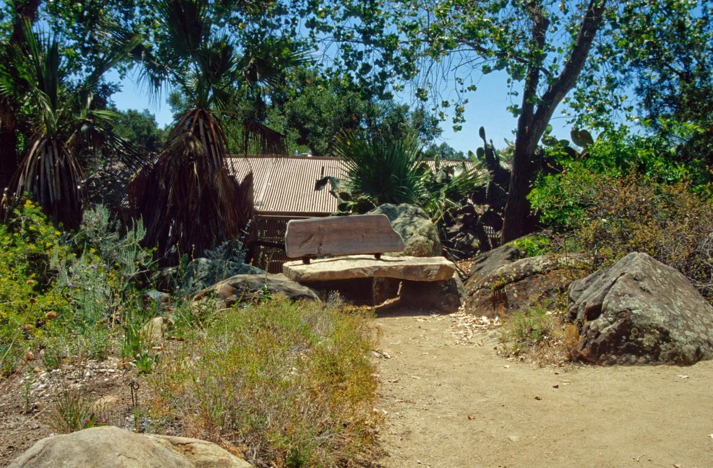 wood bench in Desert Section (replaced by stone Pritzlaff Bench in 2000)