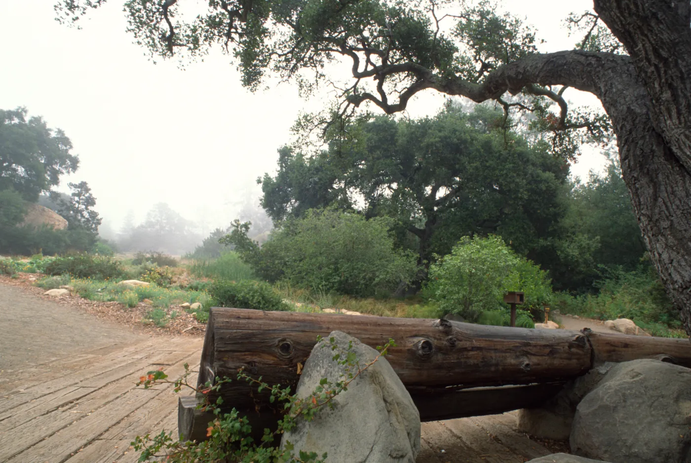 Railroad tie entrance, Entrance Display, wood bench under entrance oak, 1989, © Alan Weisskopf