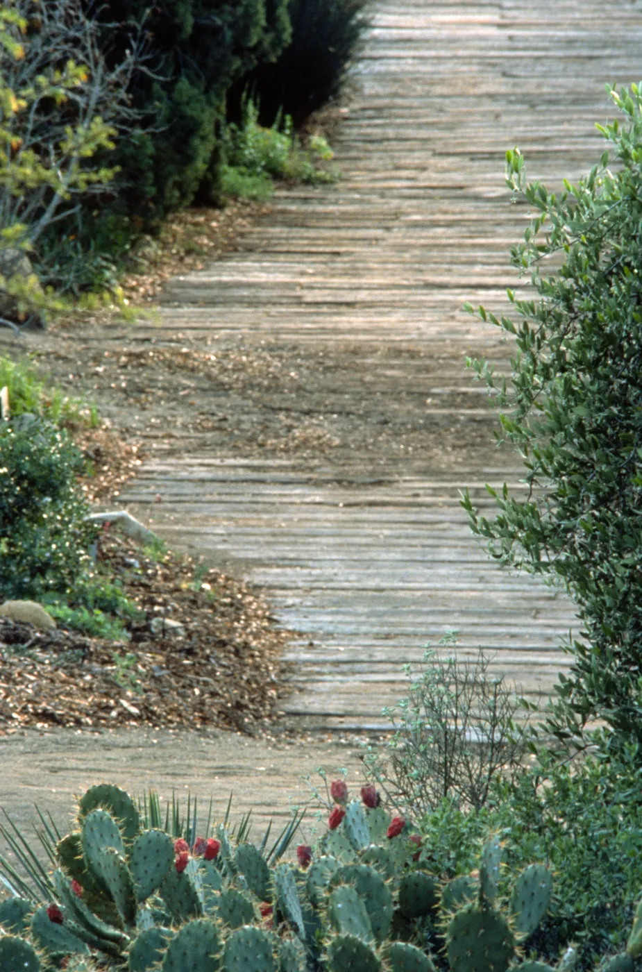 Railroad tie path at Gaden Entrance, 1980s