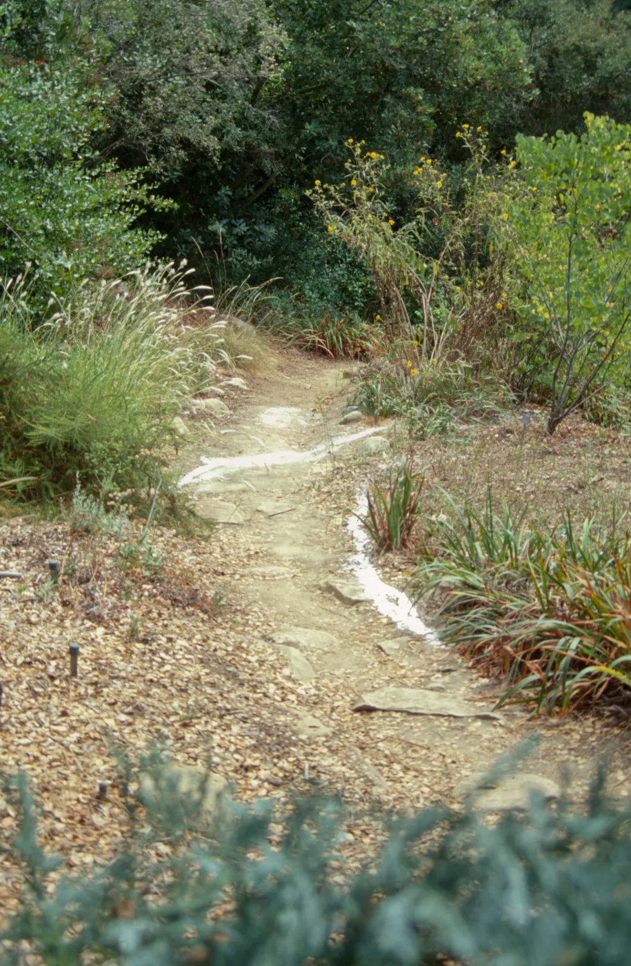 Entrance reconstruction