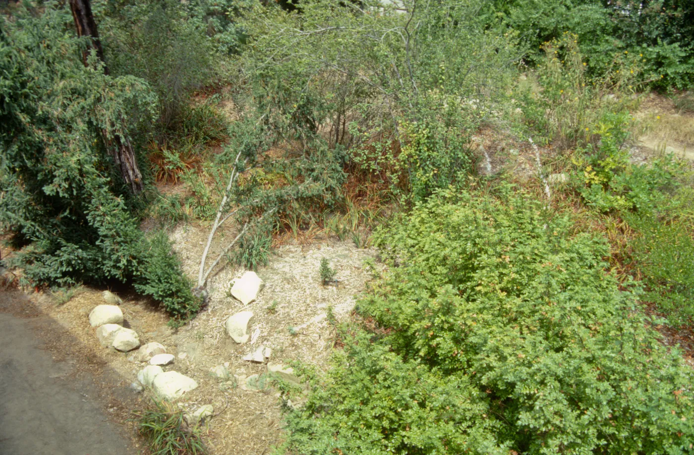 Entrance reconstruction
