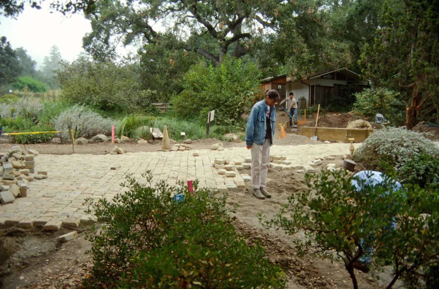 Path Paving