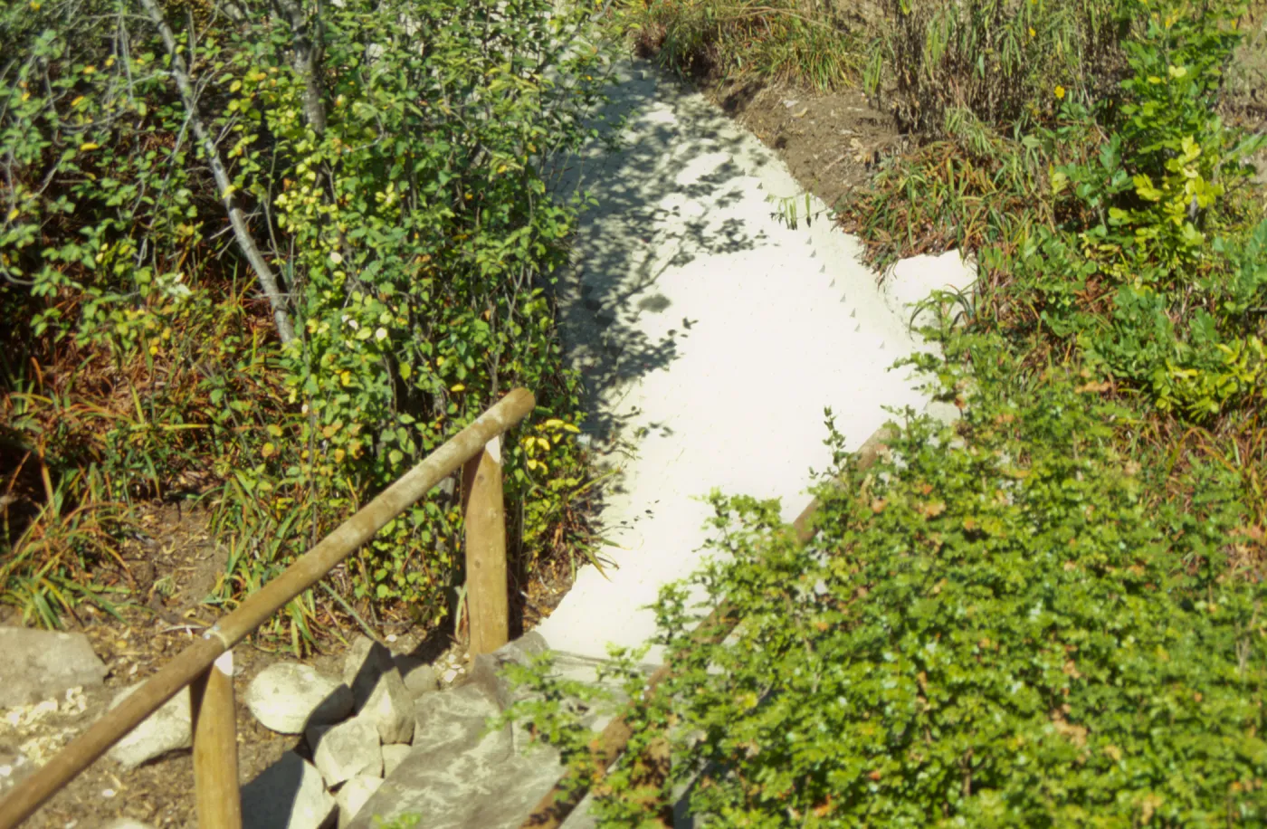 Path Paving