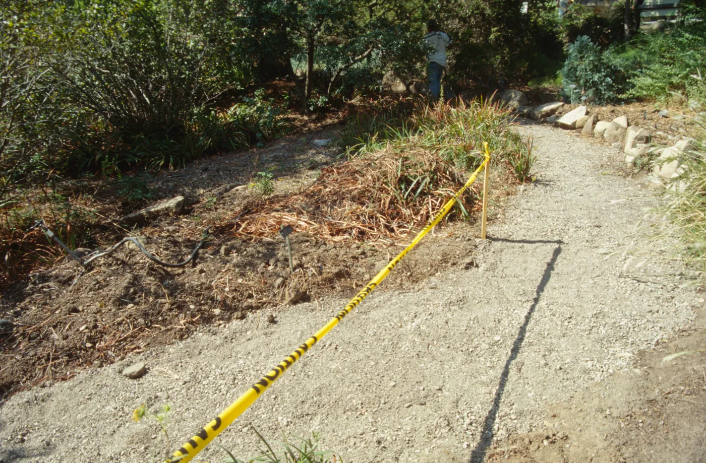 Path Paving