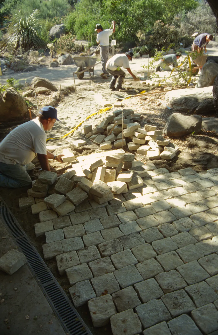Path Paving