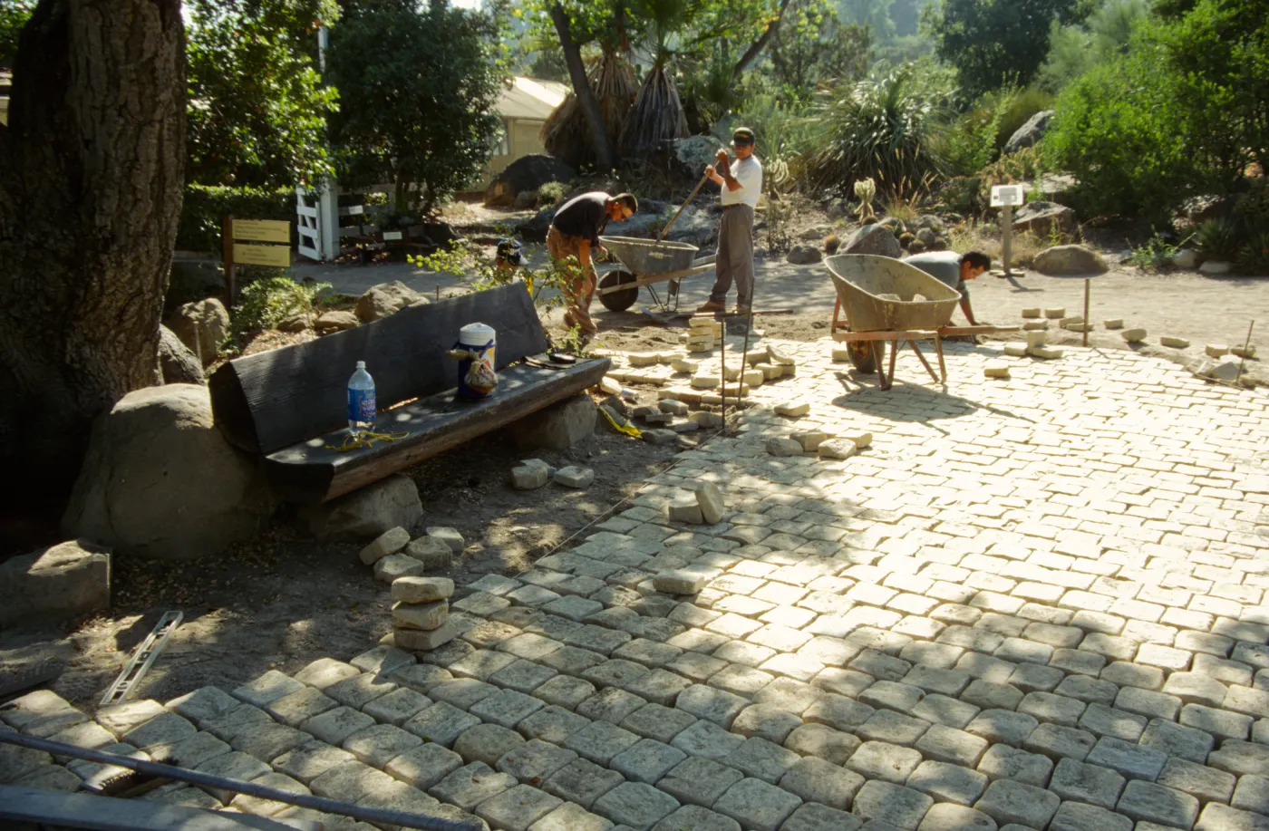 Path Paving