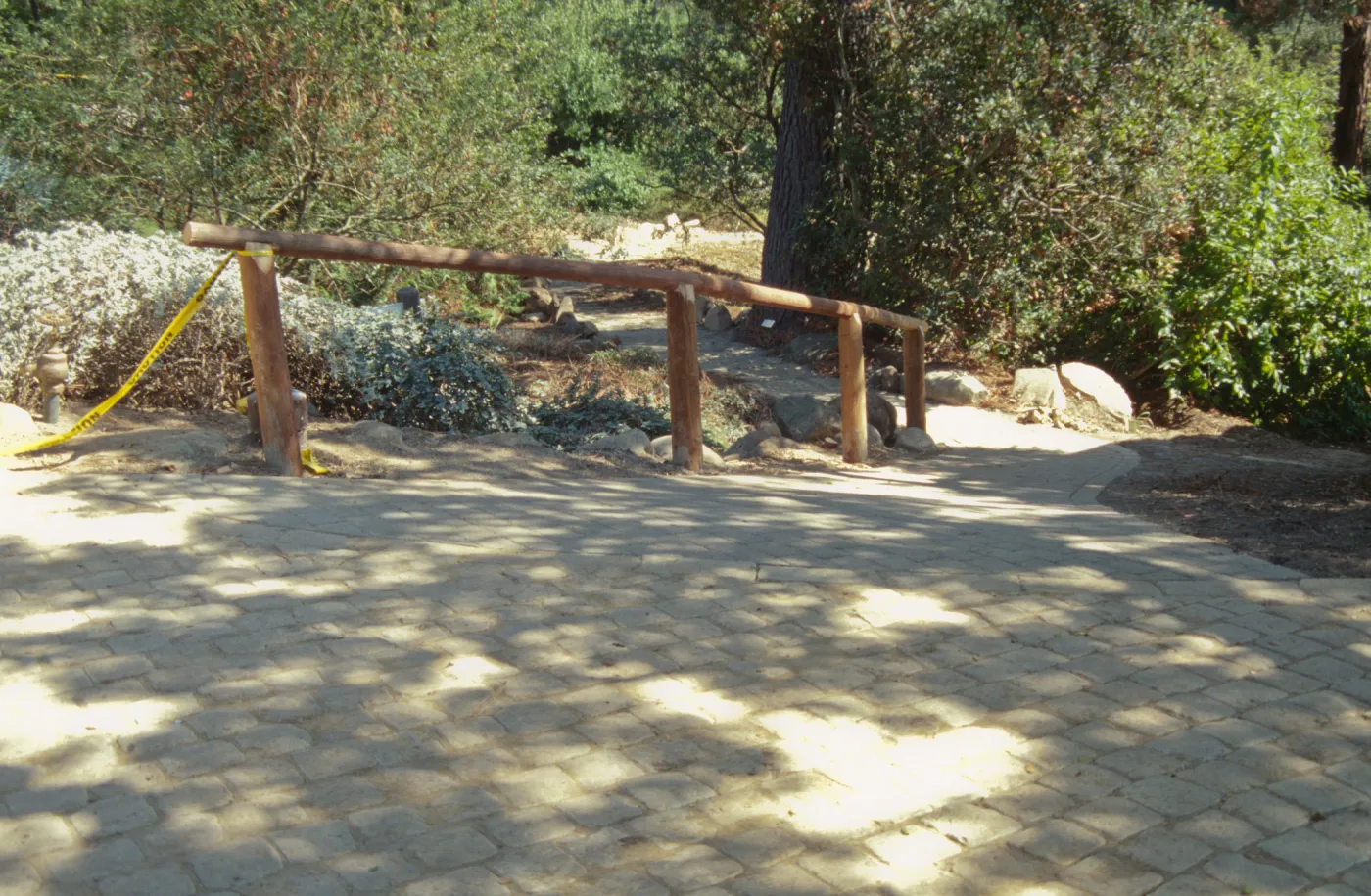 Path Paving