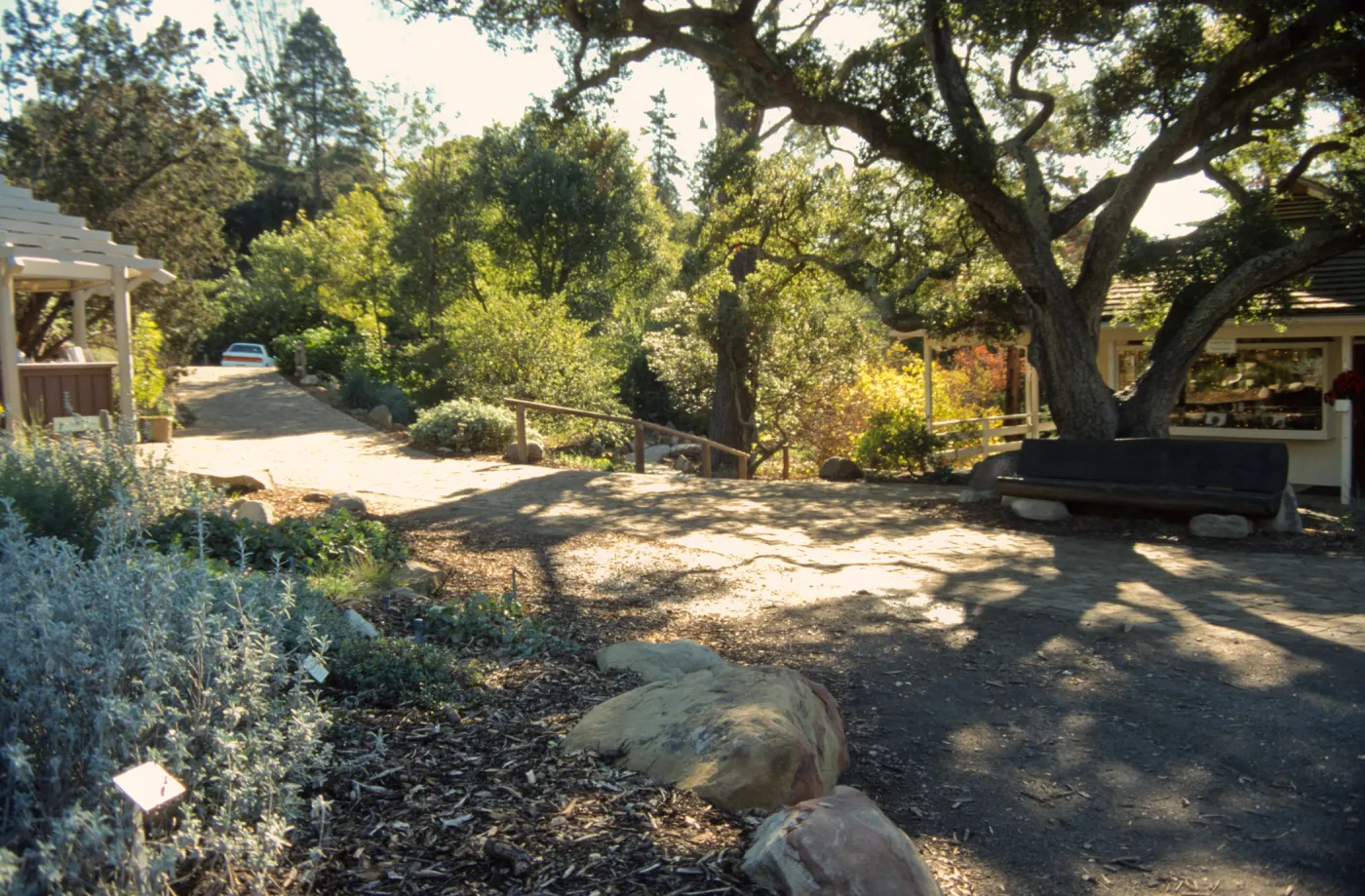Path Paving