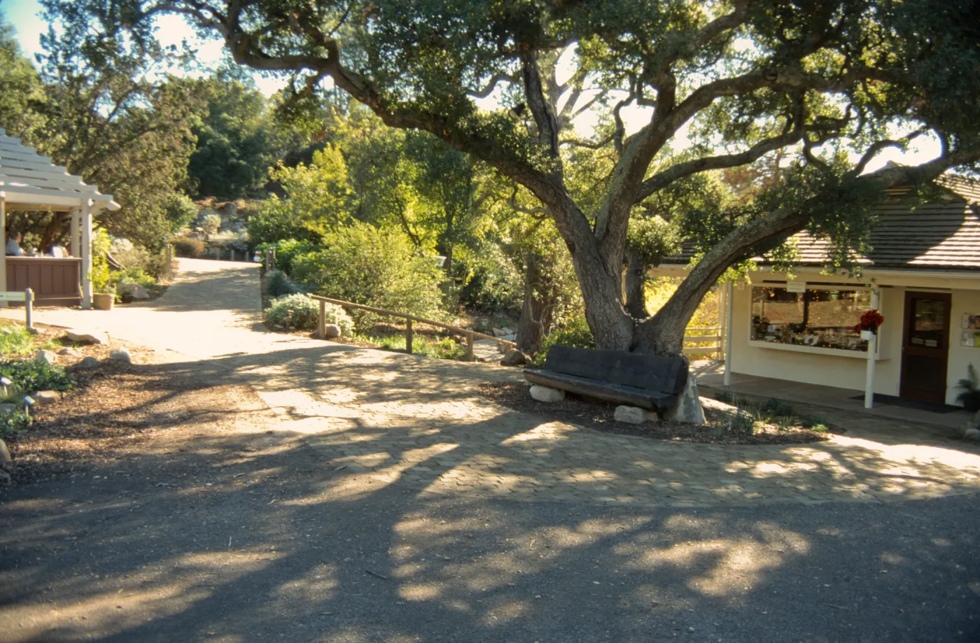 Path Paving