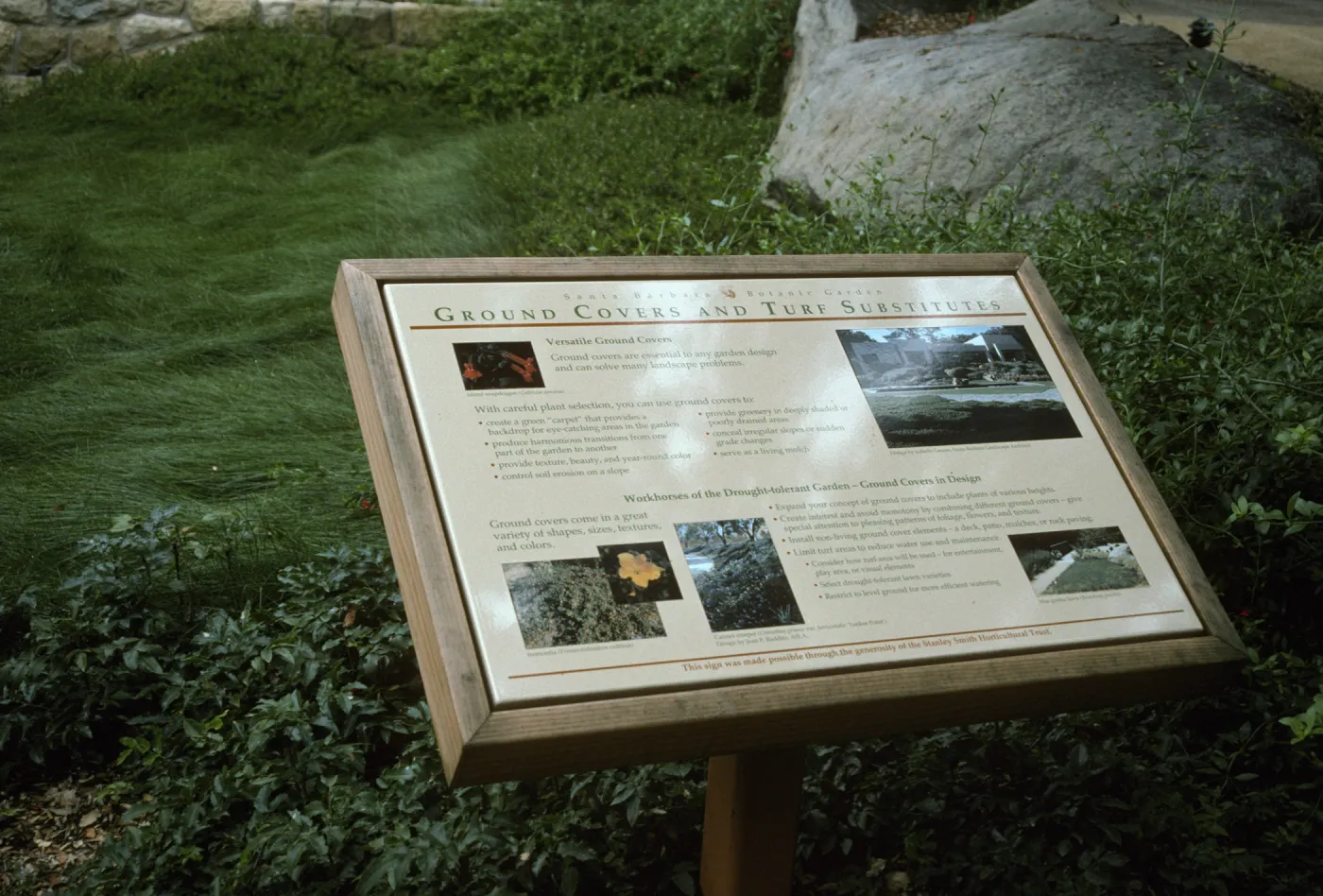 Ground Cover Interpretive Panel