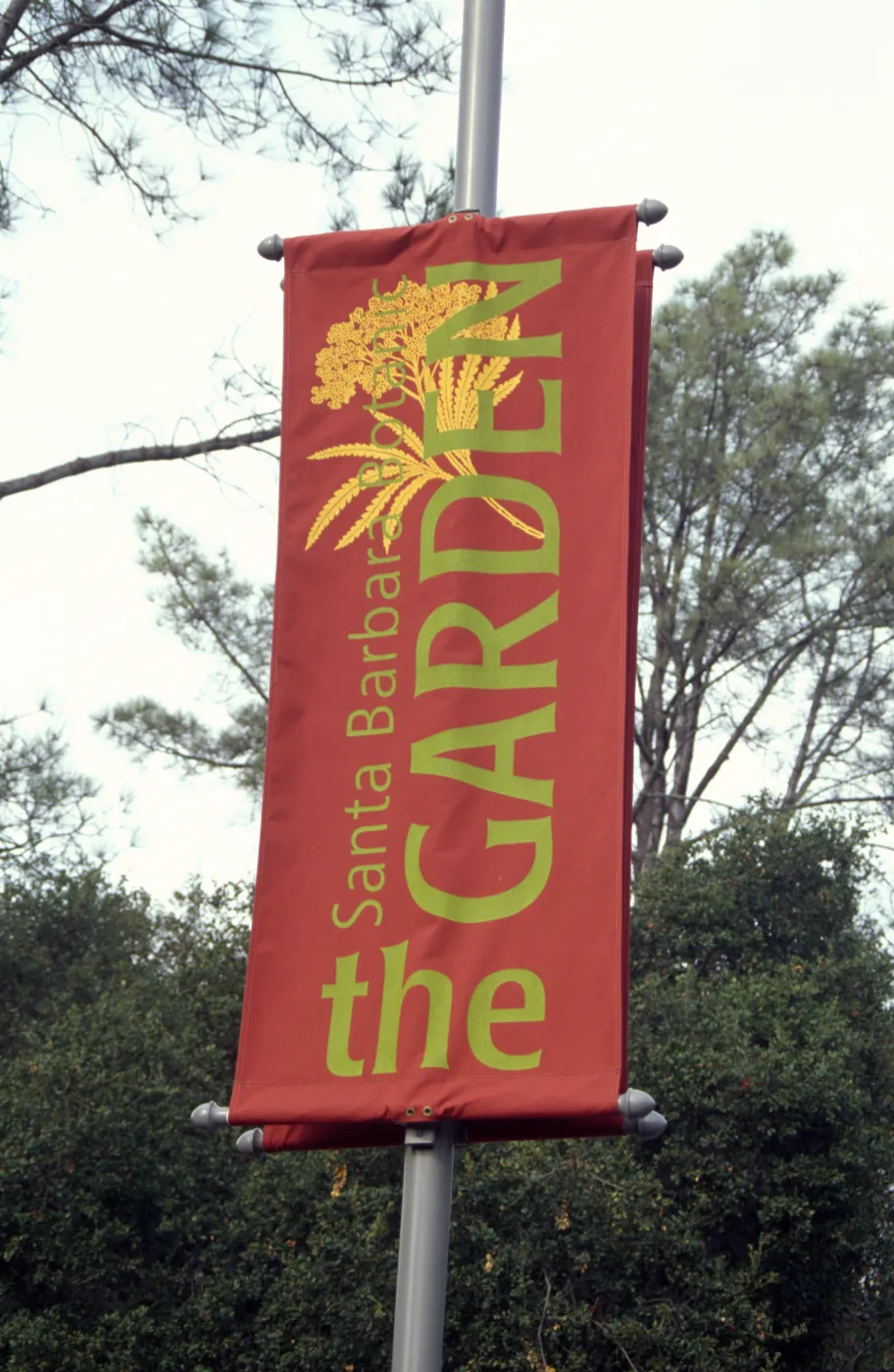 New SBBG Banner