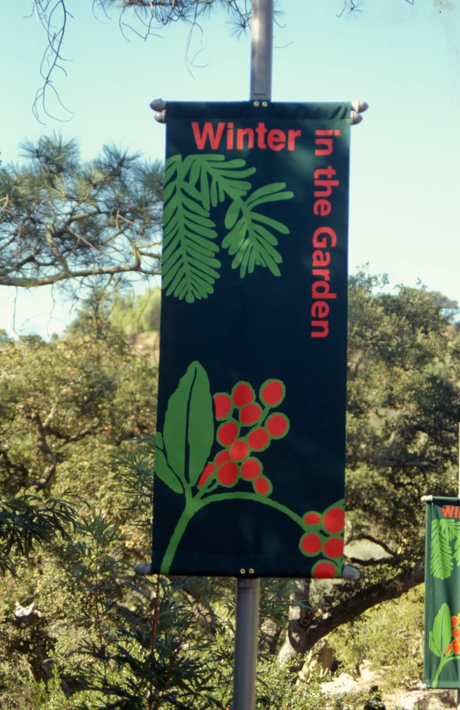 New Winter Banner