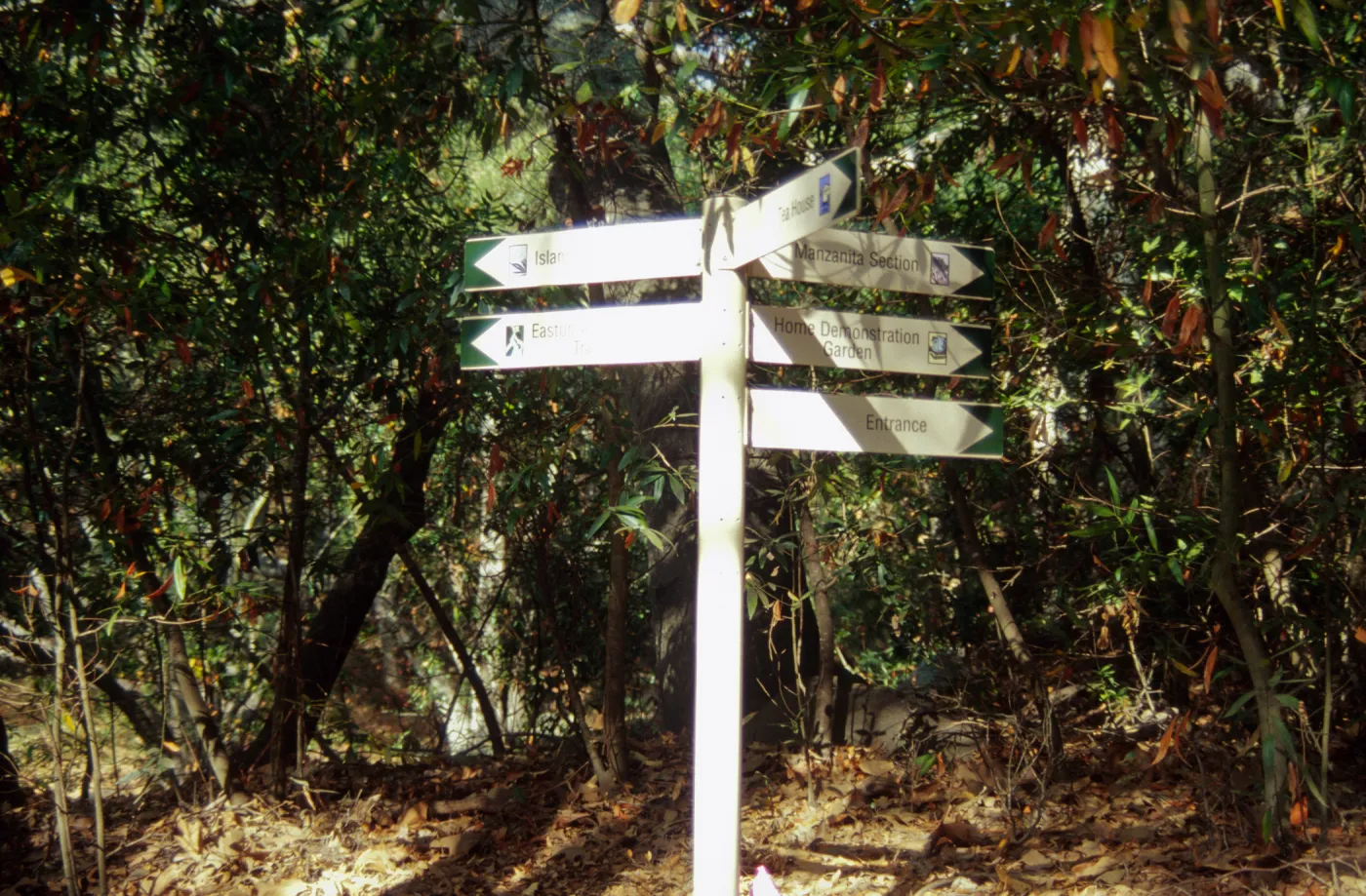 Directional signage 