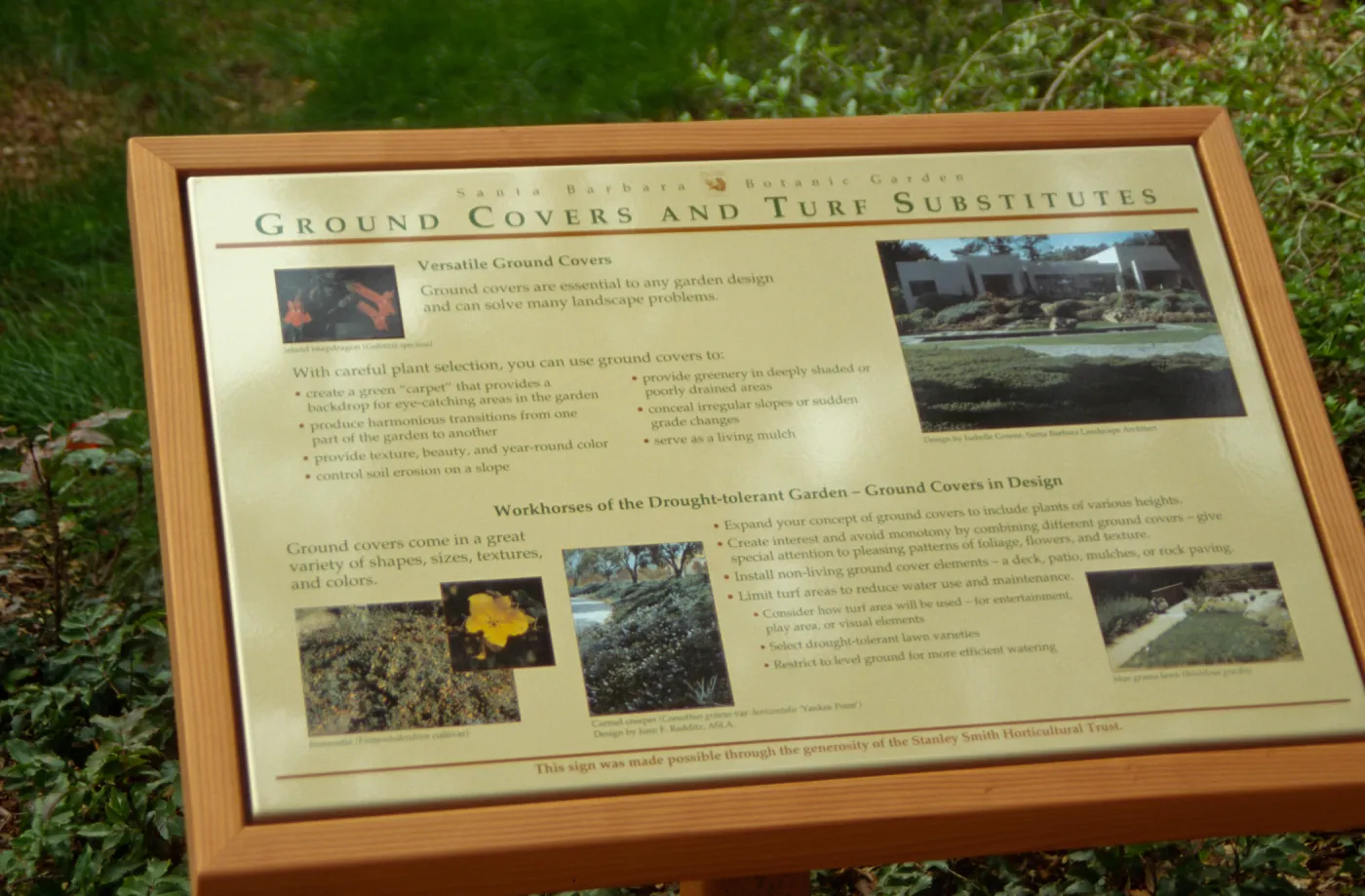 'Ground Covers and Turf Substitutes' Interpretive Panel, Home Demonstration Garden