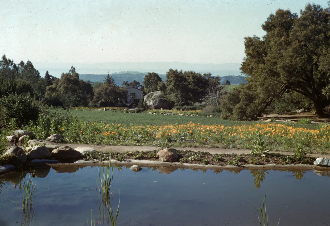 View from top of Meadow to the islands, pool at top of Meadow, Meadow Oaks