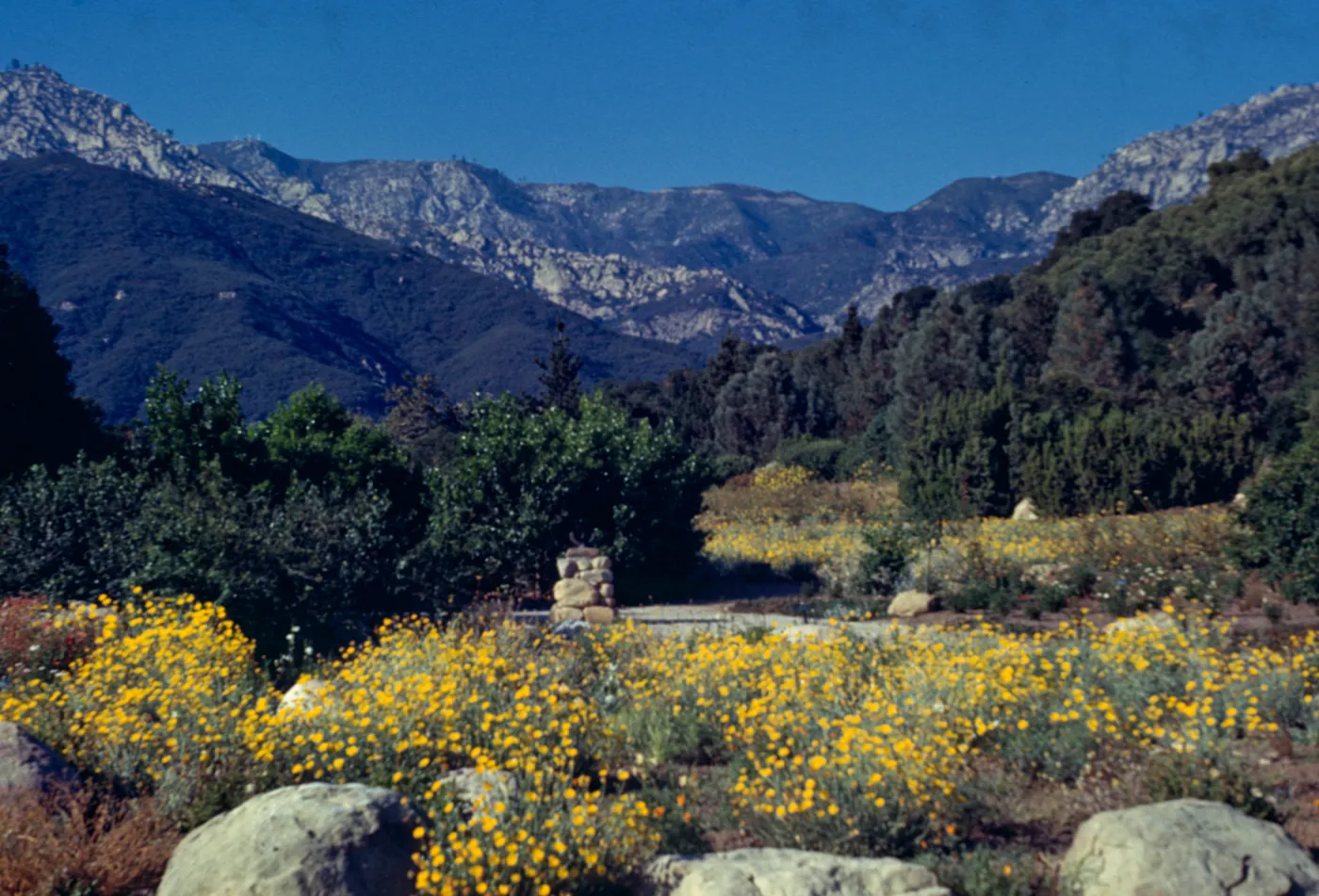 Sundial in the Meadow, mountain view