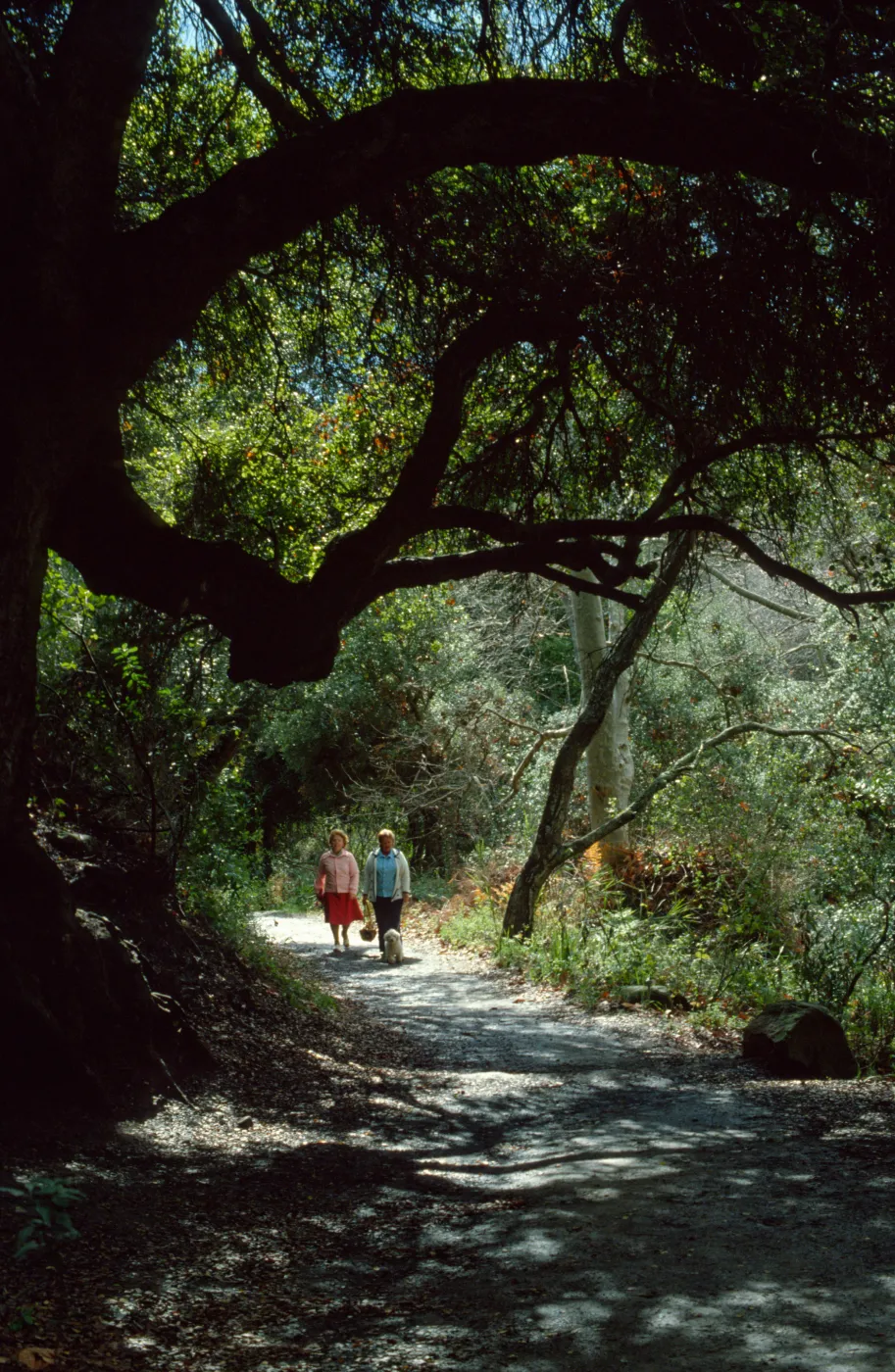 SBBG visitors walking their dog in the Canyon Section
