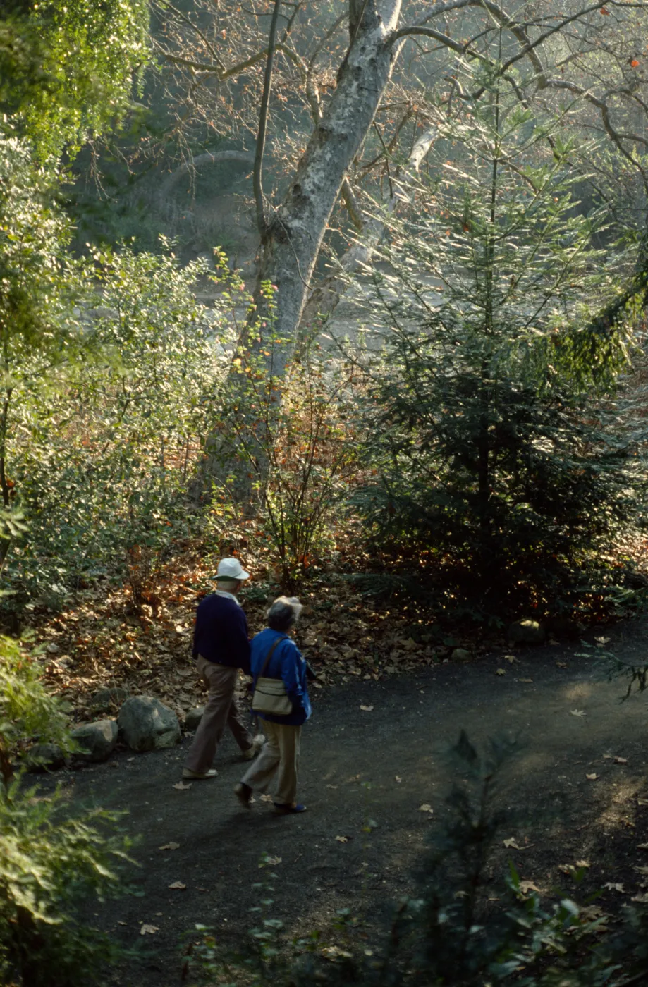 SBBG vistors walking on the Canyon Trail
