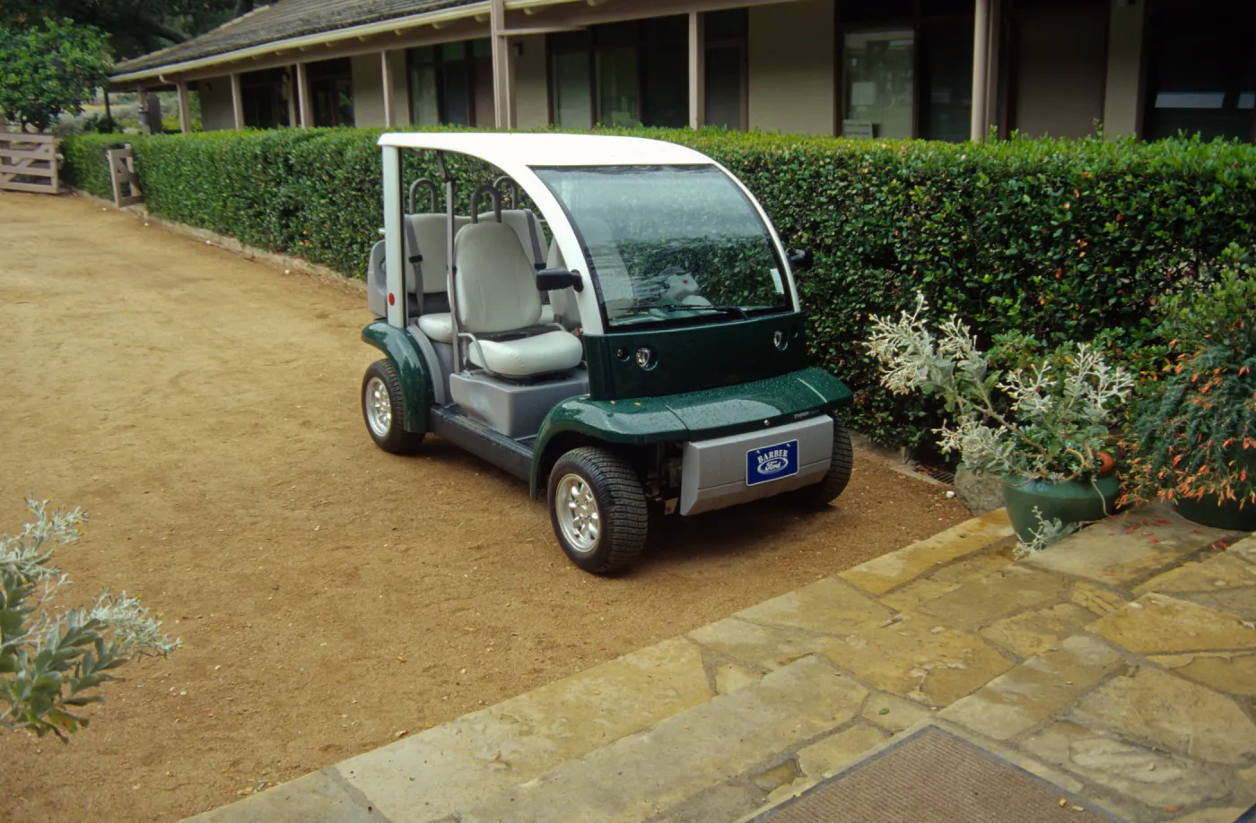 New electric cart