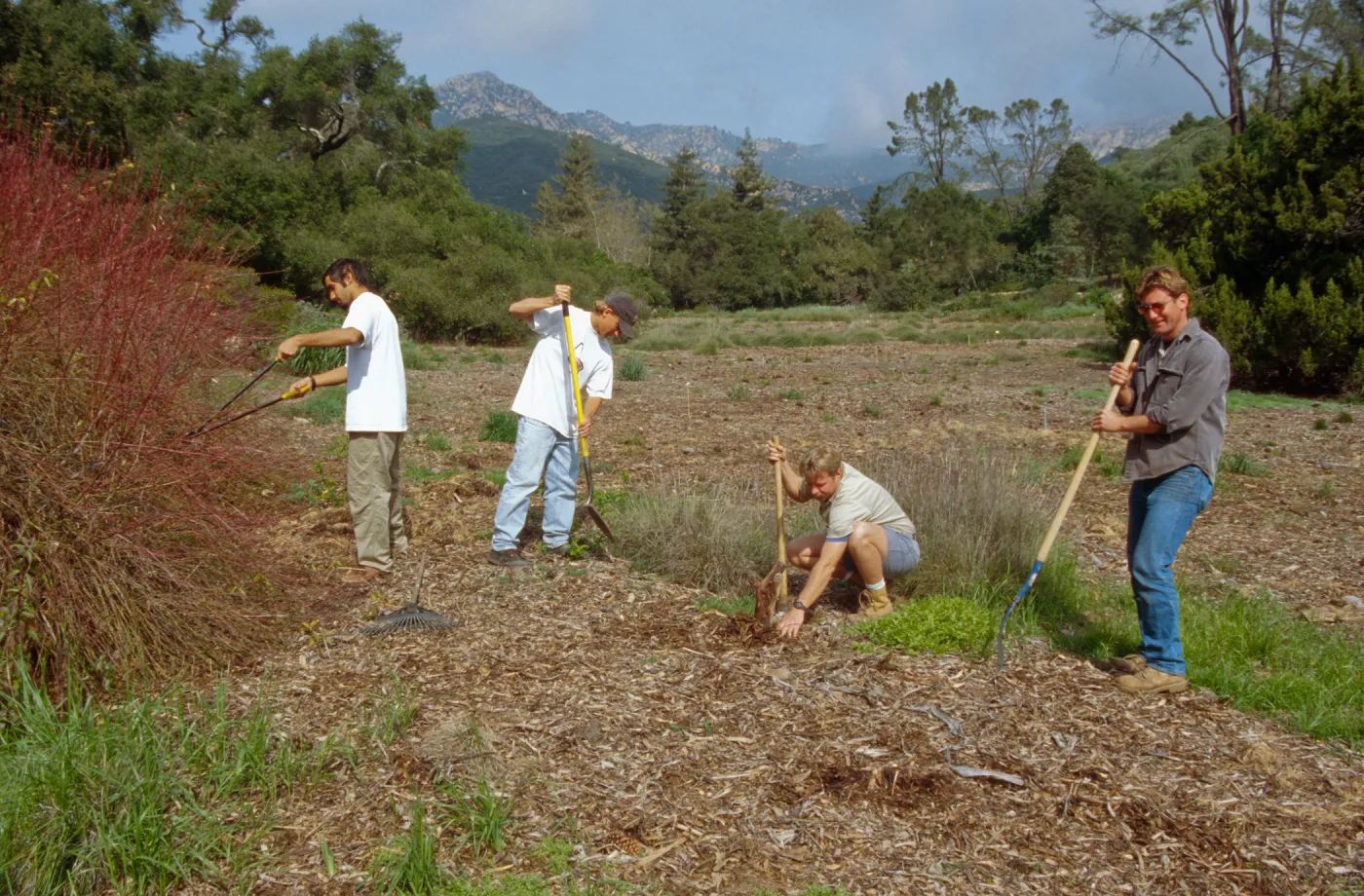 Dave Kershaw and Mark Stubler in the Meadow, volunteer grounds crew, laying chip mulch