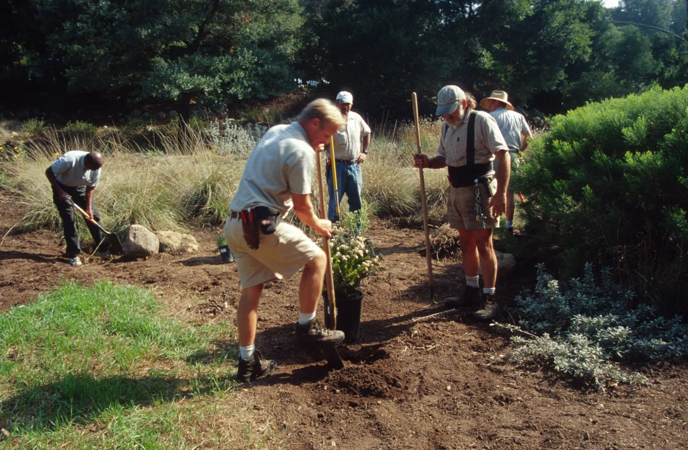 Gardeners and grounds staff planting in the Meadow