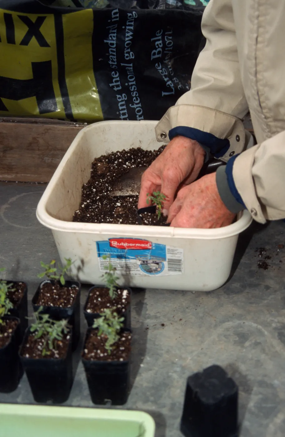 Will Brown potting up plants, Horticulture Unit
