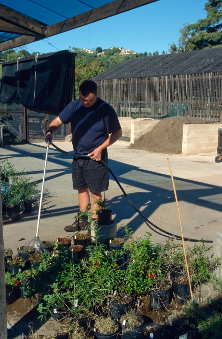 Andrew Wyatt, plant propagator, Horticulture Unit