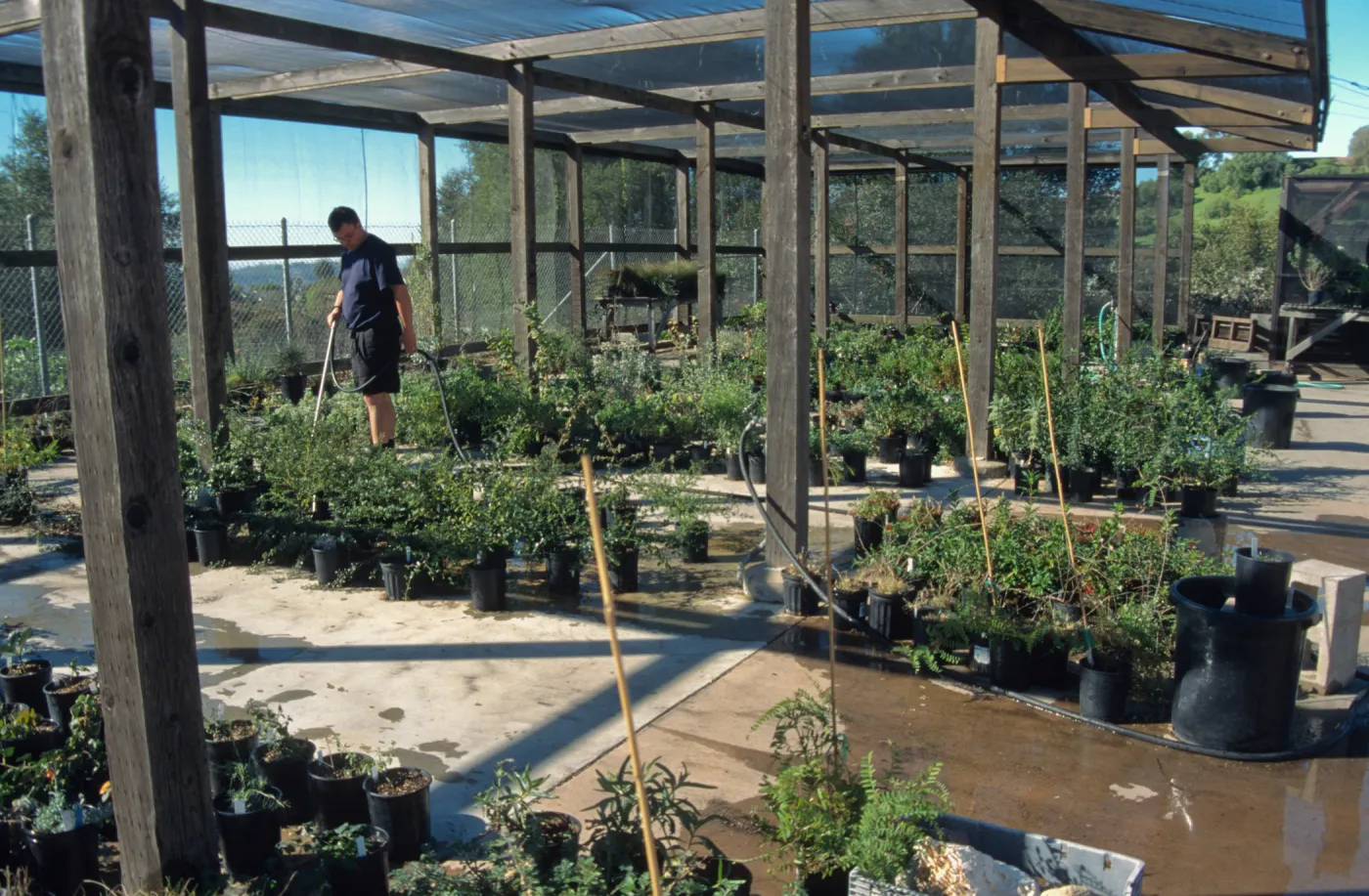 Andrew Wyatt, plant propagator, Horticulture Unit, shade structure