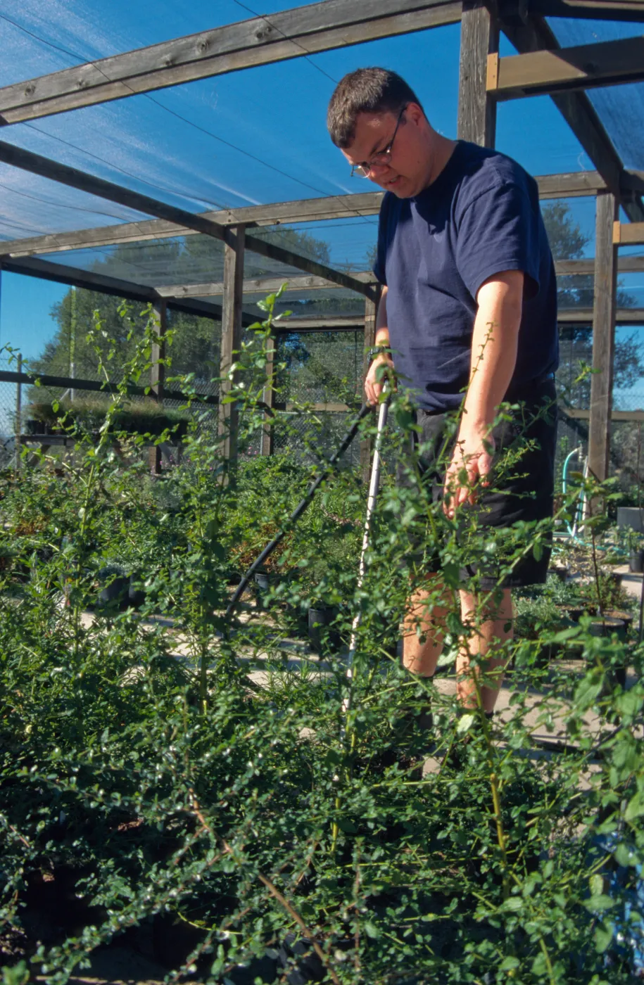 Andrew Wyatt, plant propagator, Horticulture Unit