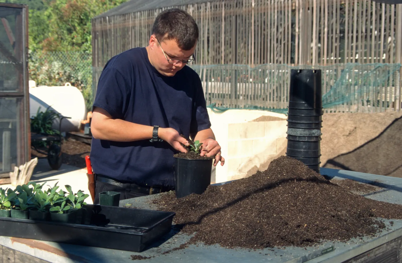 Andrew Wyatt, plant propagator, Horticulture Unit