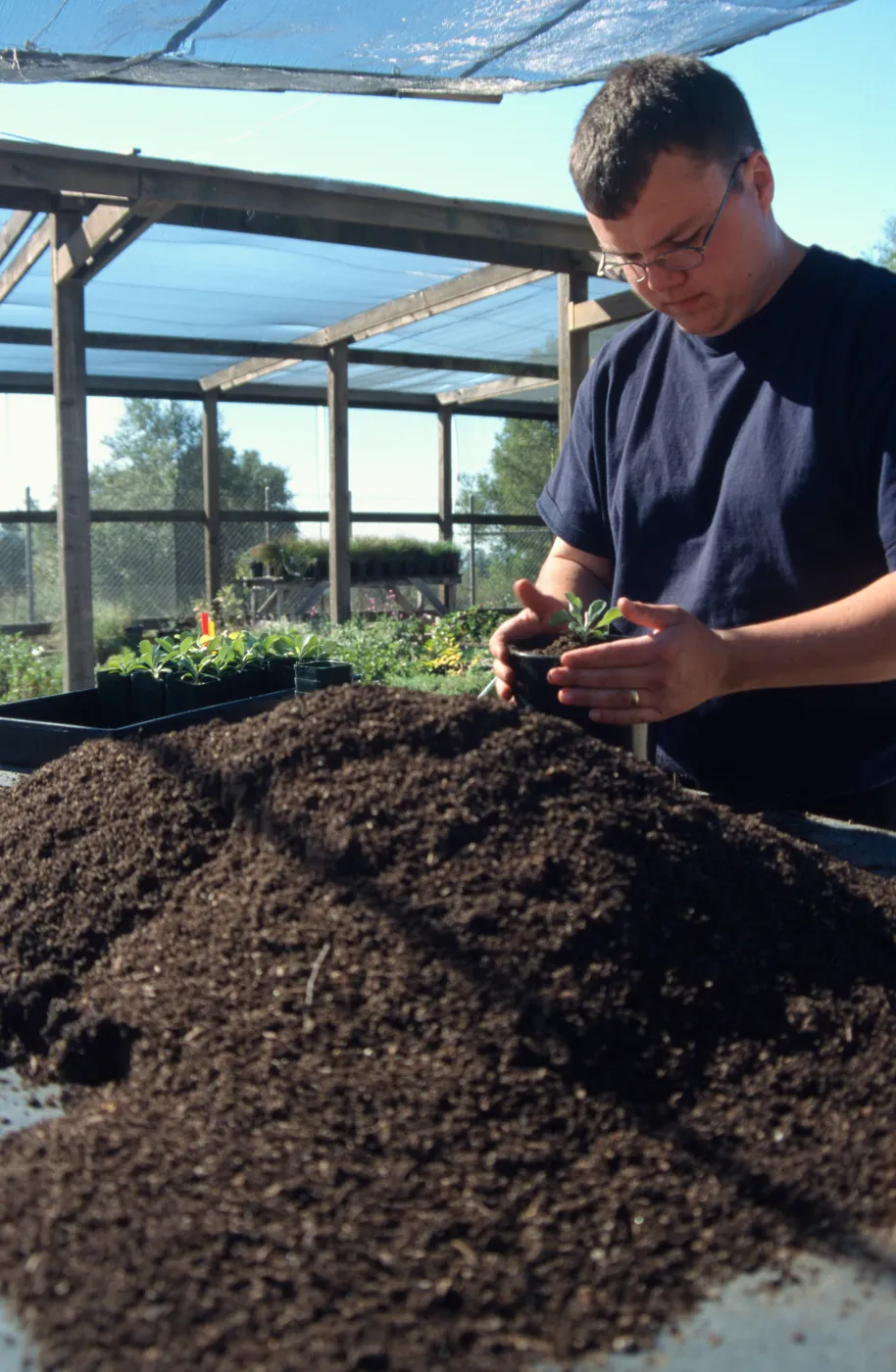 Andrew Wyatt, plant propagator, Horticulture Unit