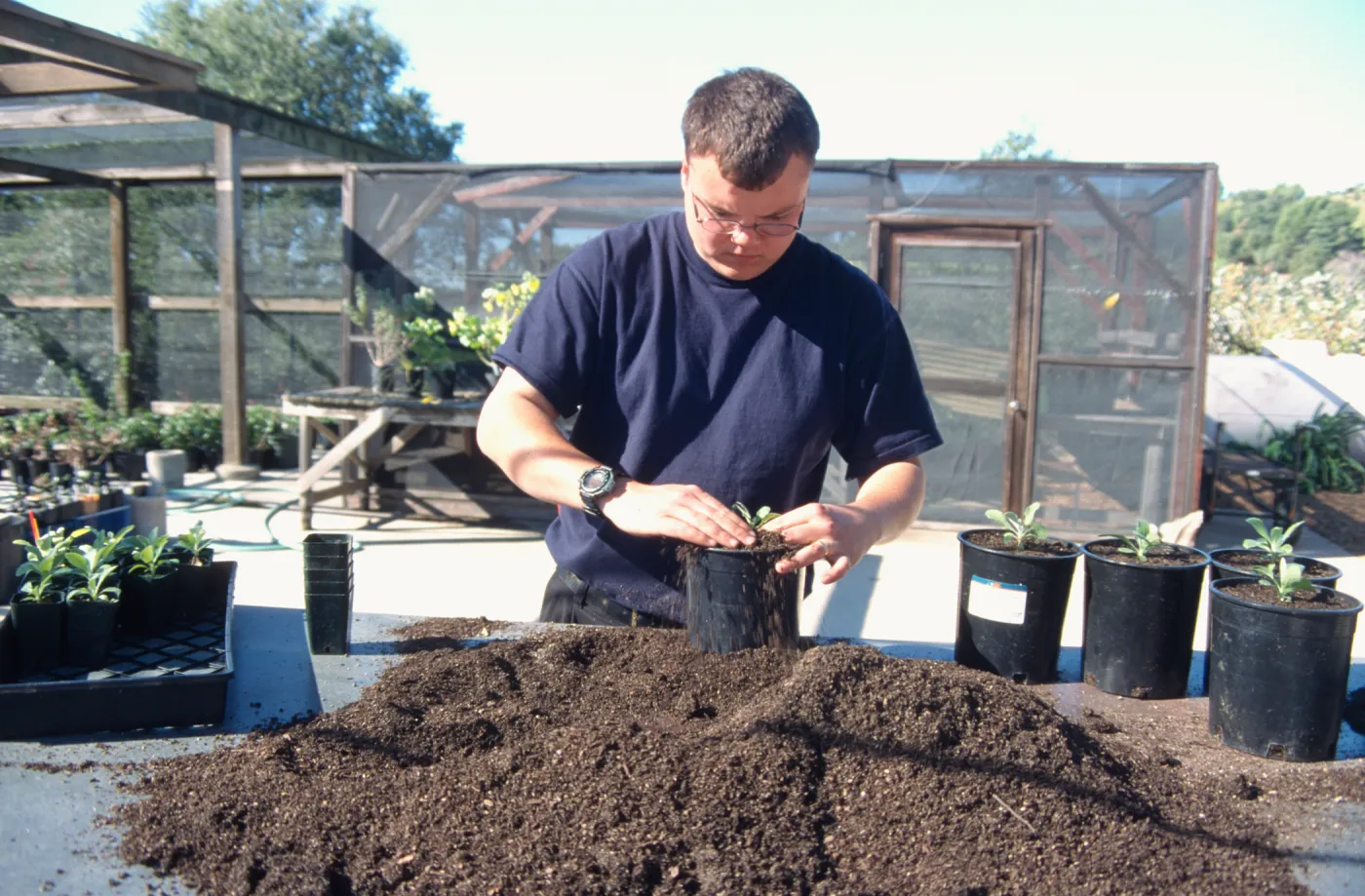 Andrew Wyatt, plant propagator, Horticulture Unit