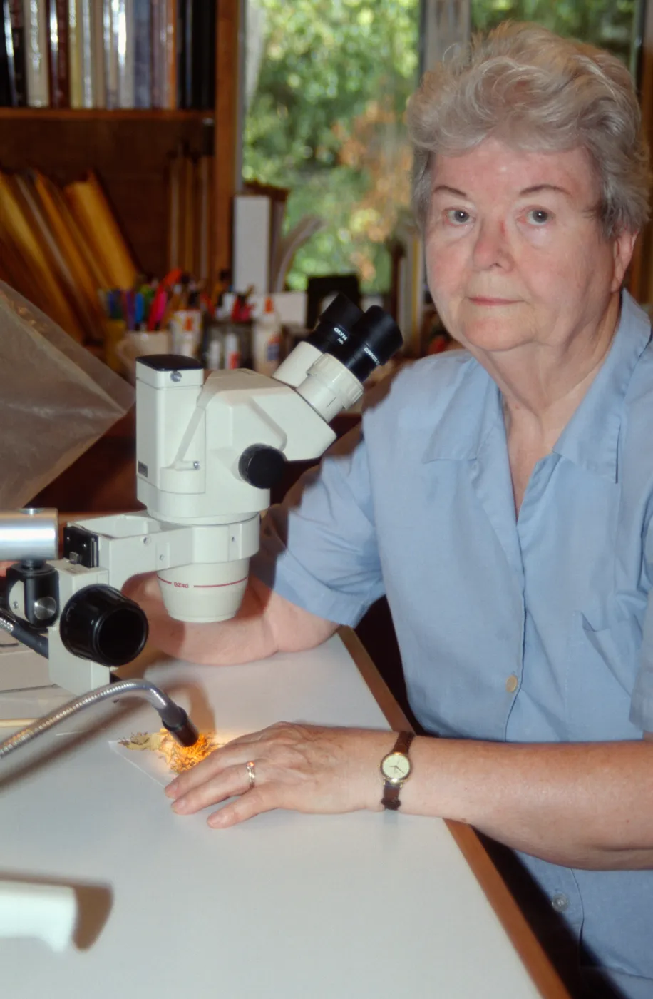 Shirley Tucker, lichenologist, microscope