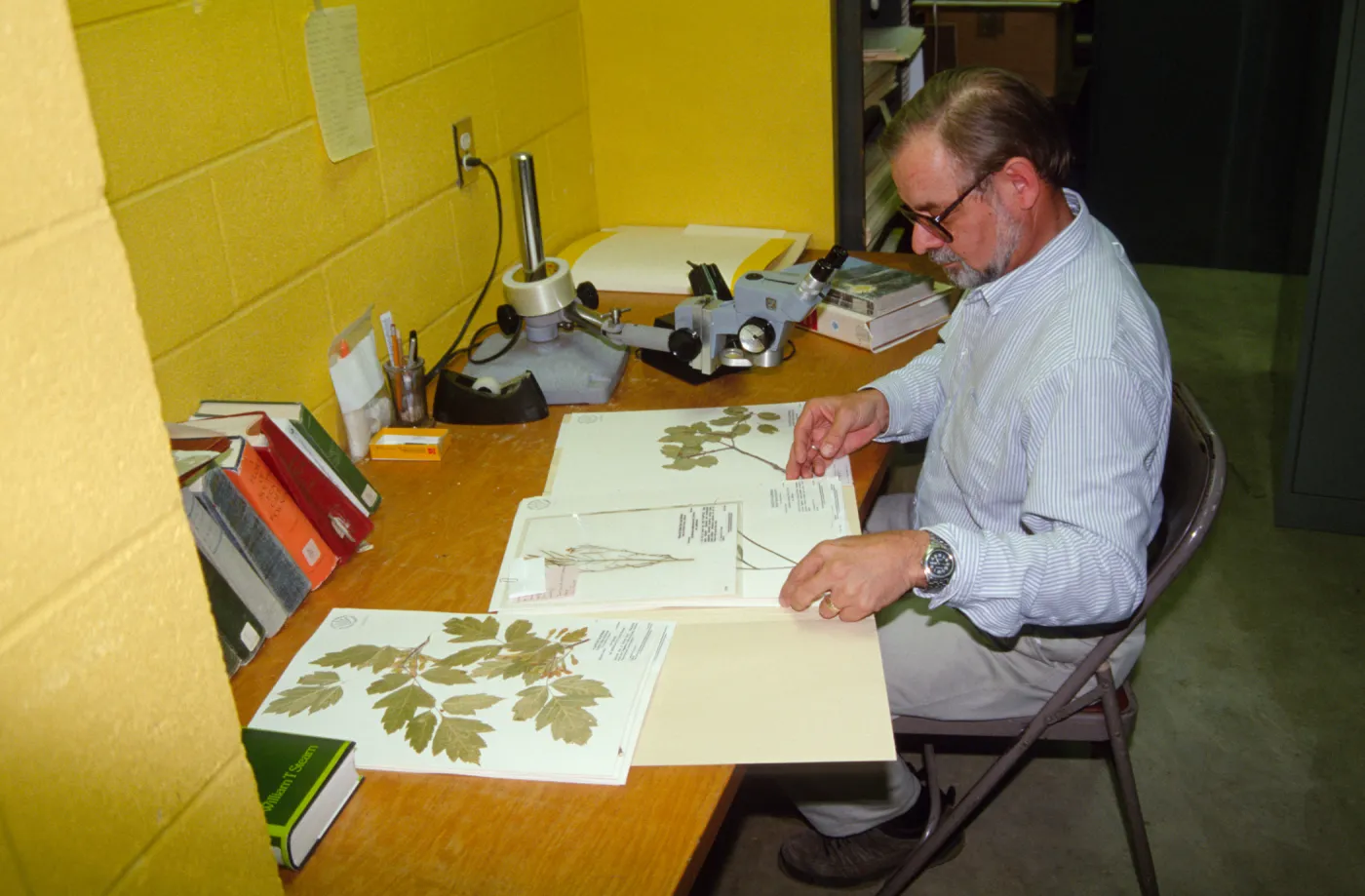 Dieter Wilken, analyzing Herbarium specimens