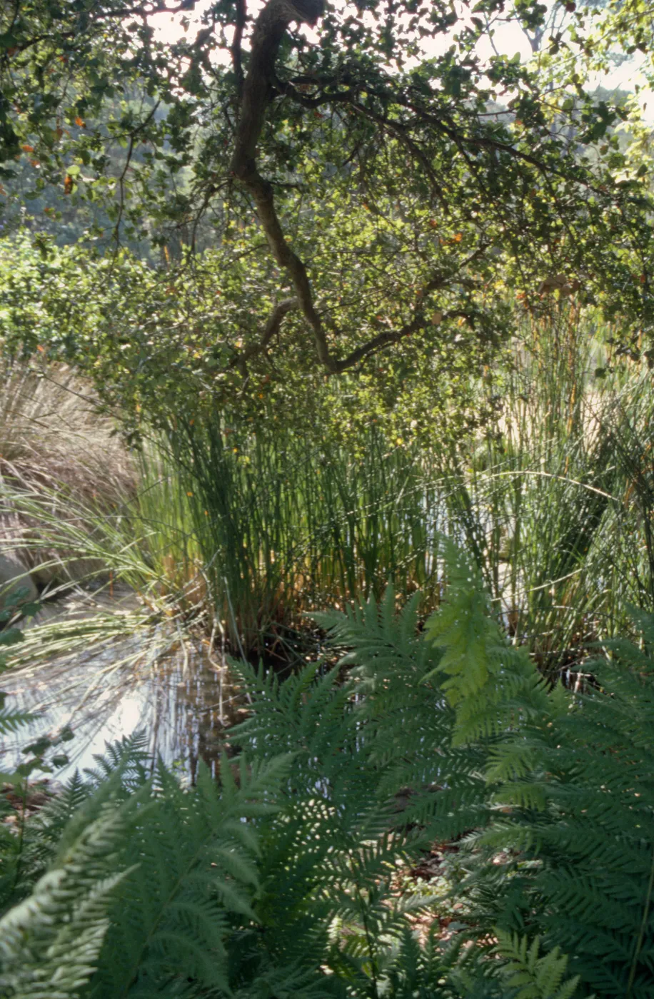 Meadow Pond, Garden Works Event