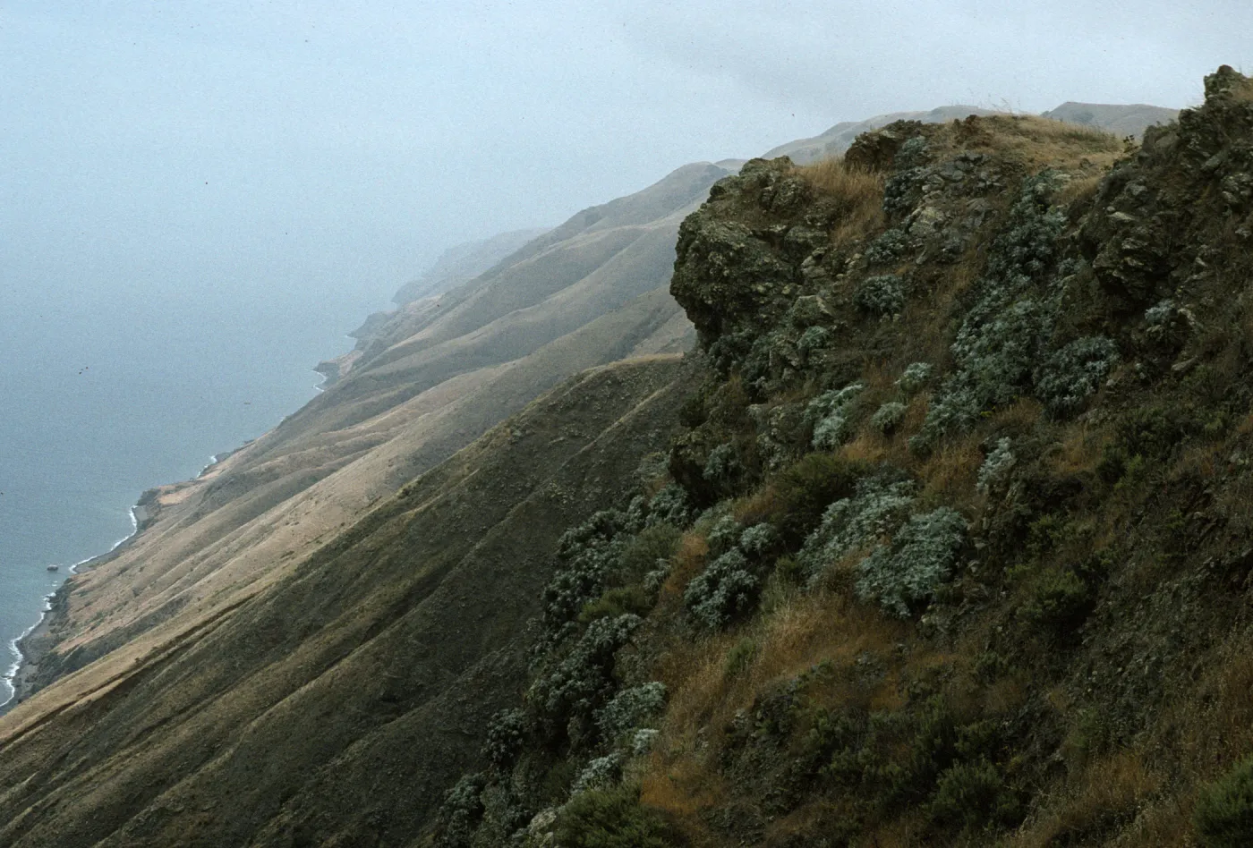San Clemente Island