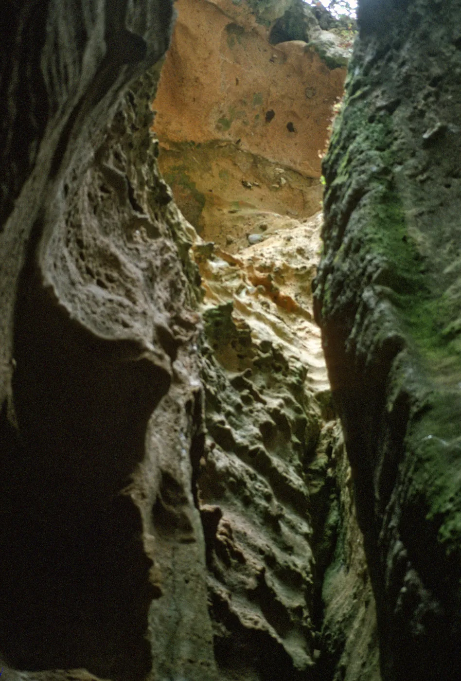 Lobo Canyon