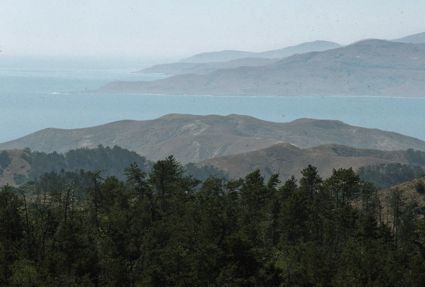 Santa Cruz and Santa Rosa Islands