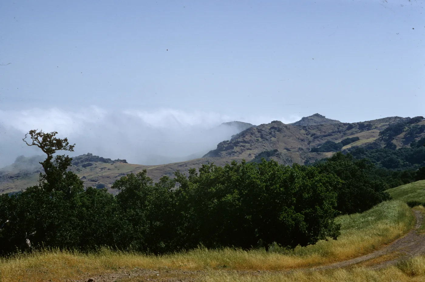 Santa Cruz Island