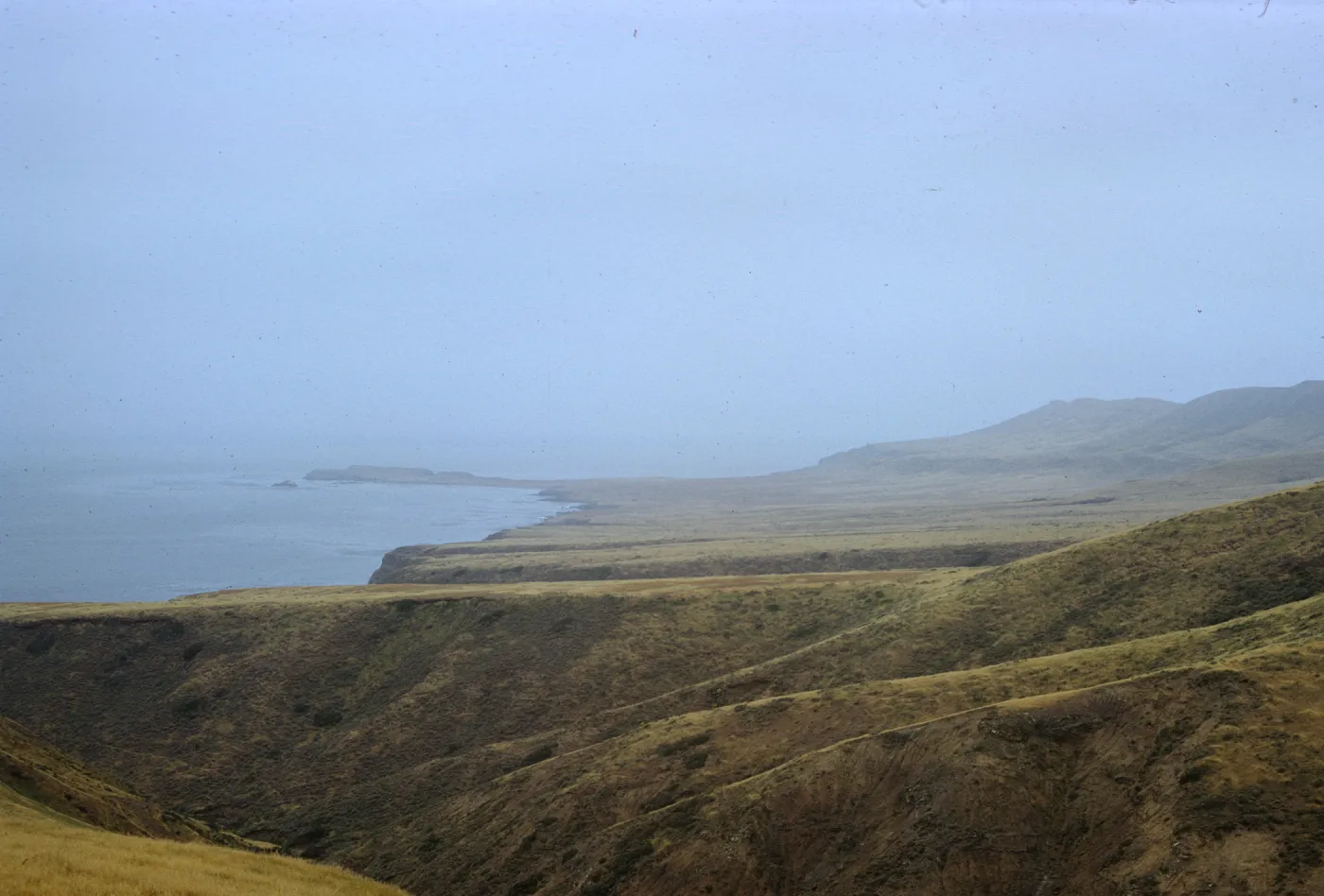 Fraser Point, Santa Cruz Island
