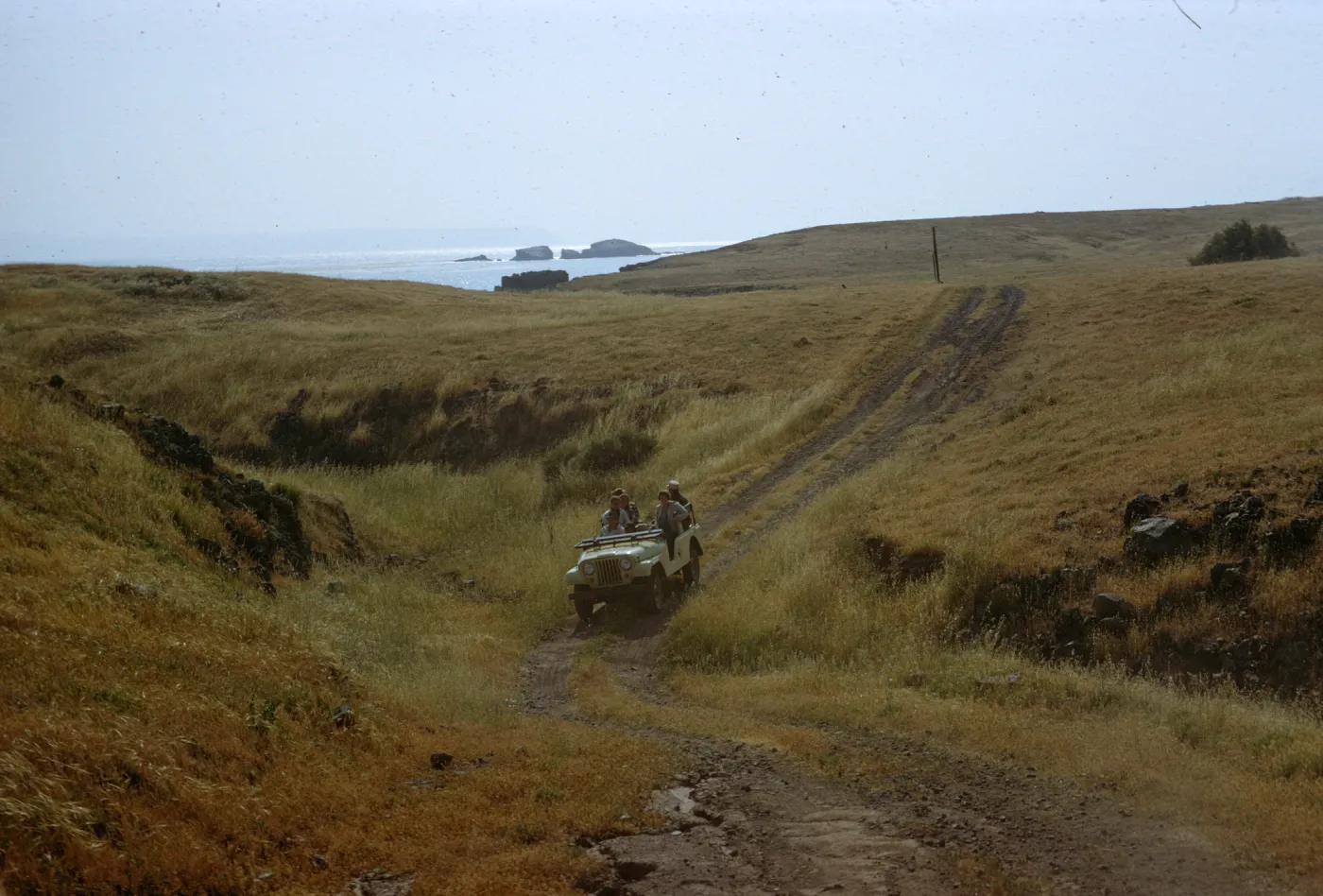 West of Forney's, Santa Cruz Island